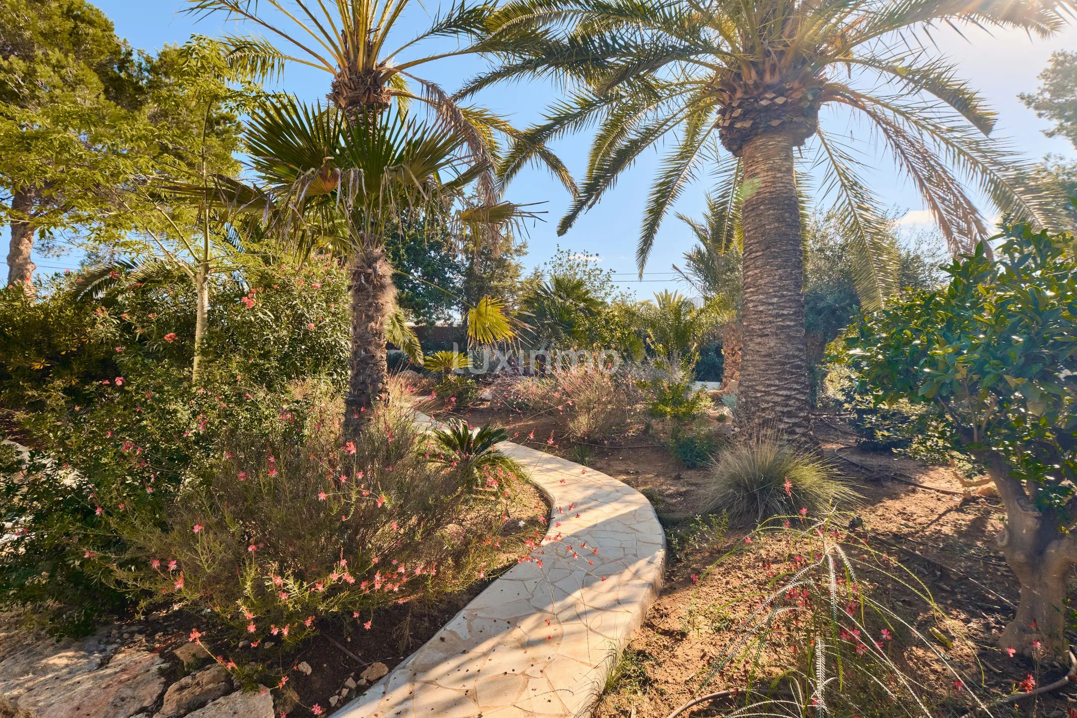 Eco luxury finca in Puig d'en Valls, Santa Eulària — photo 6