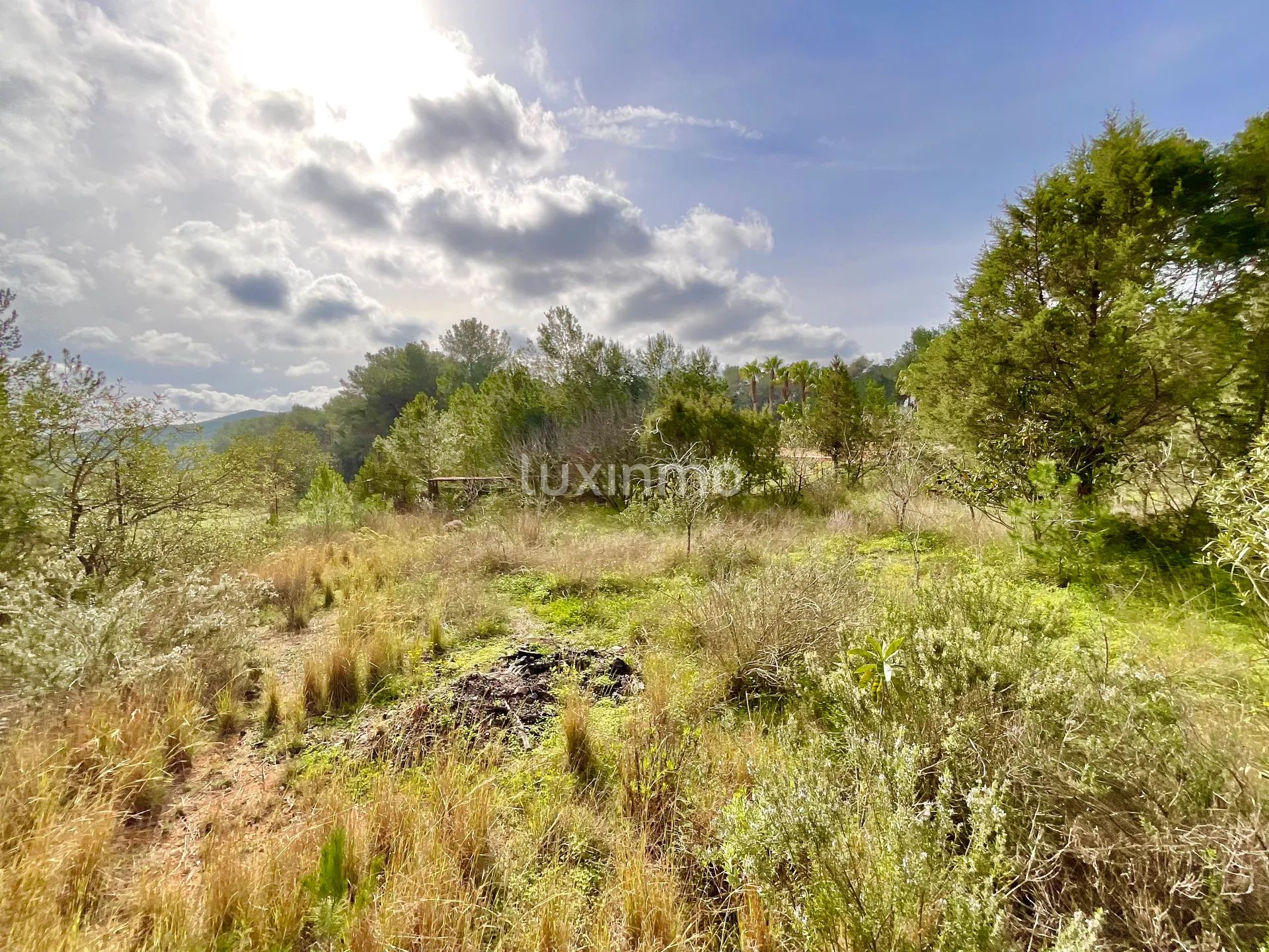 Fantastic Villa with Panoramic Views, Just Minutes from Morna College — photo 50