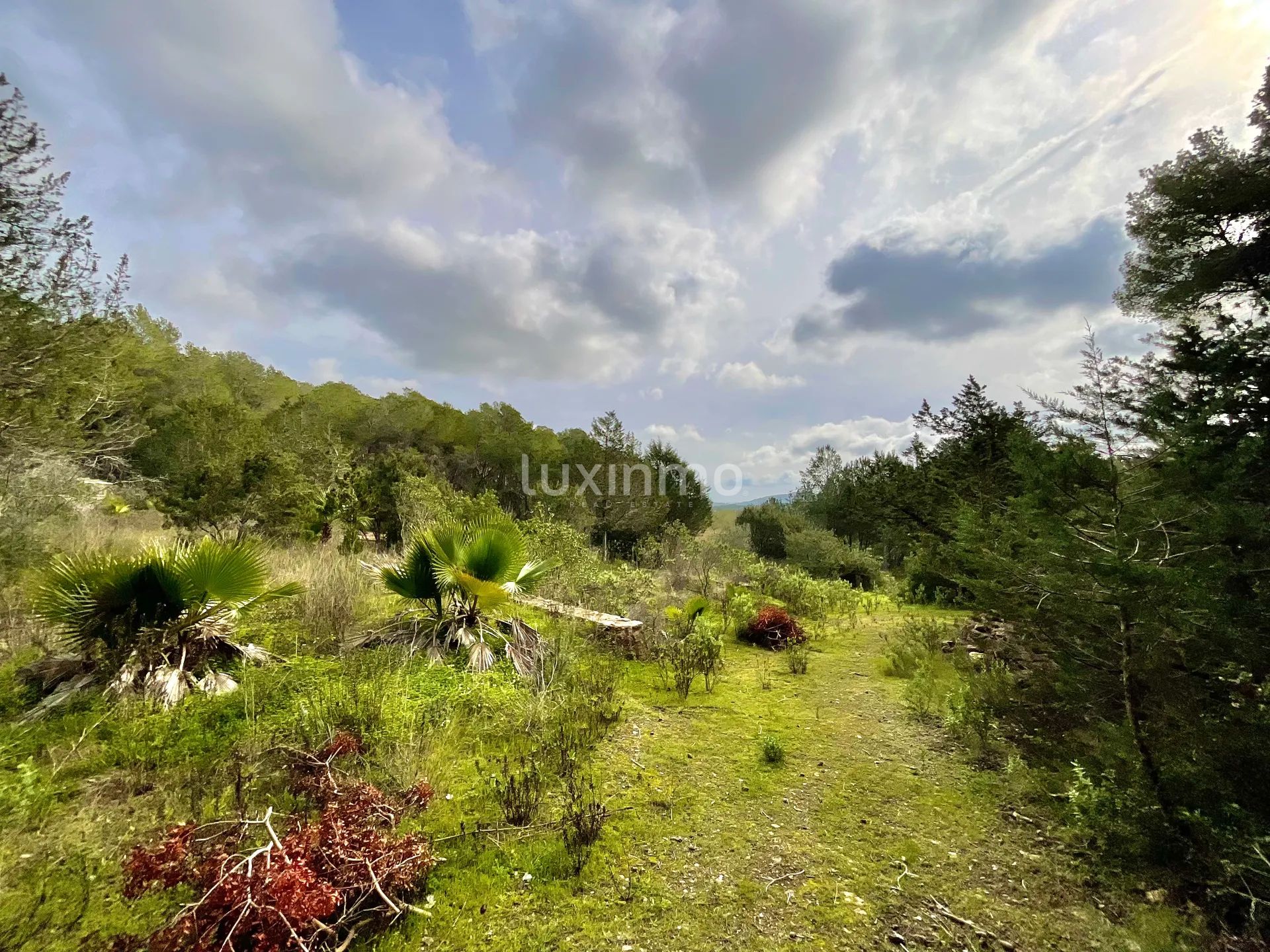 Fantastic Villa with Panoramic Views, Just Minutes from Morna College — photo 47