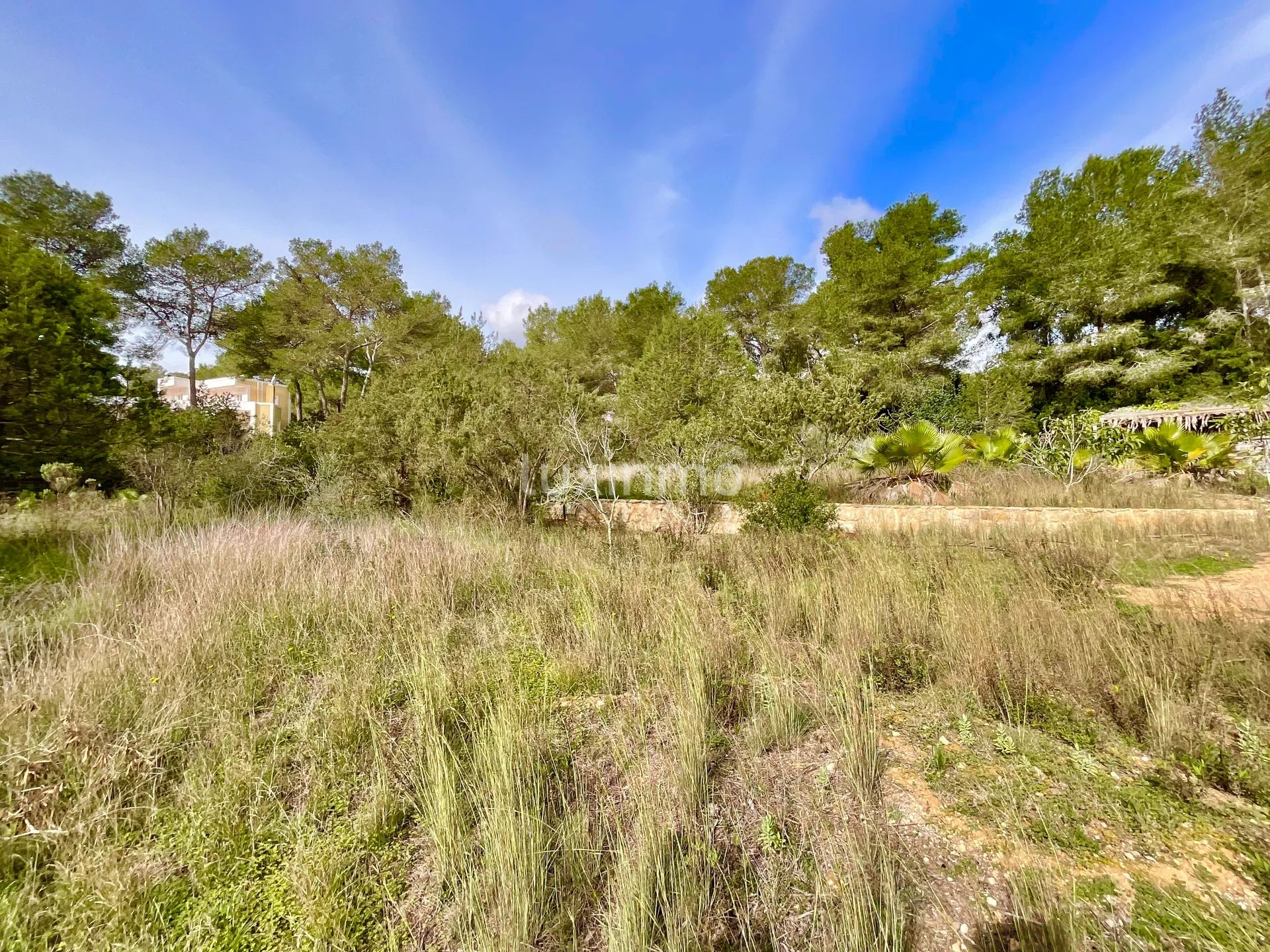 Fantastic Villa with Panoramic Views, Just Minutes from Morna College — photo 51