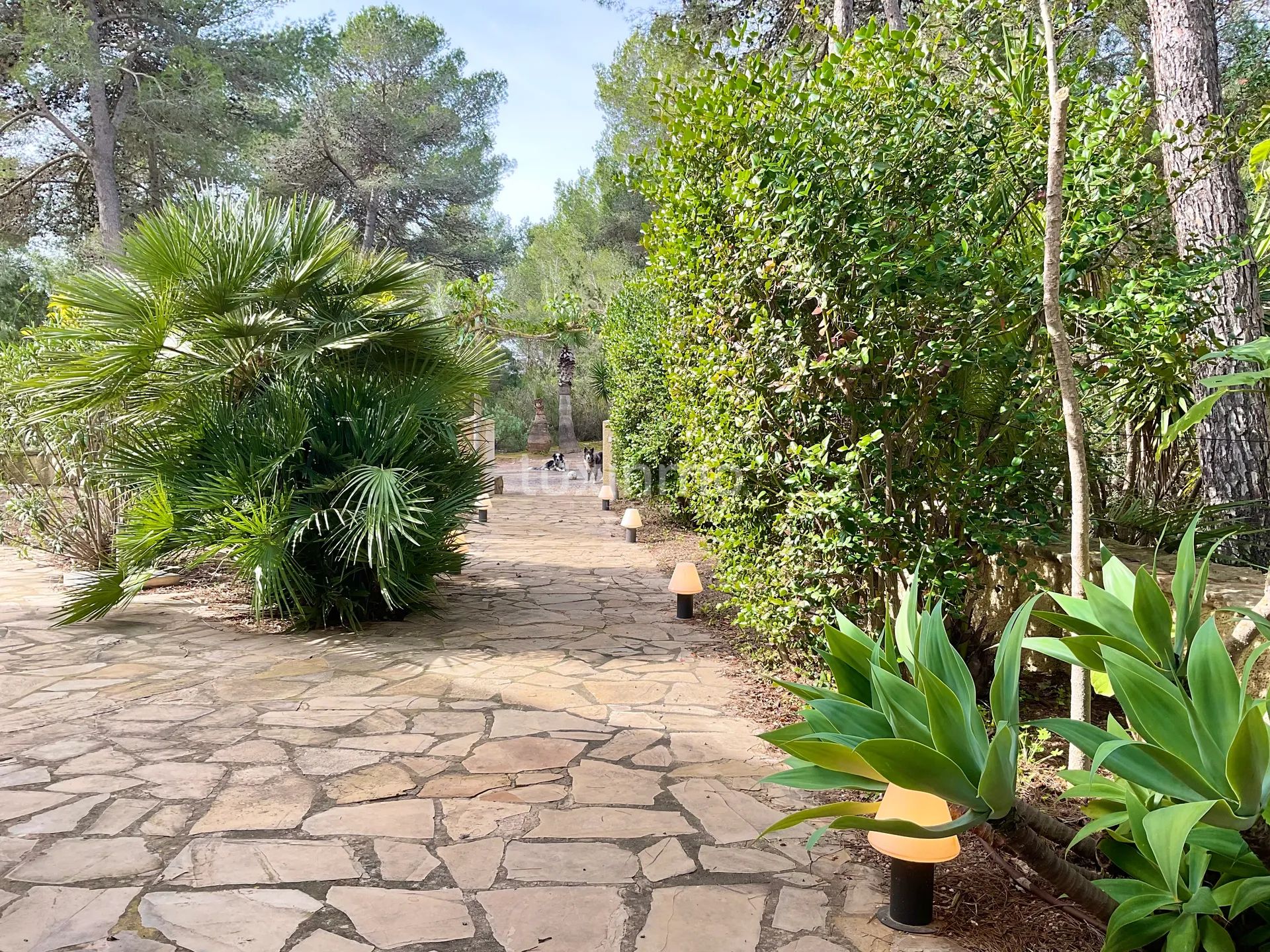 Fantastic Villa with Panoramic Views, Just Minutes from Morna College — photo 44