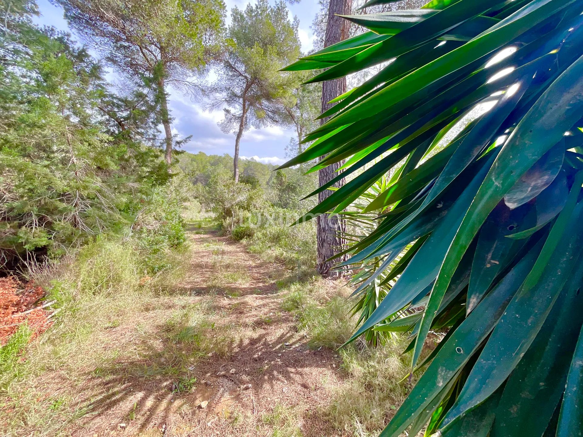 Fantastic Villa with Panoramic Views, Just Minutes from Morna College — photo 52