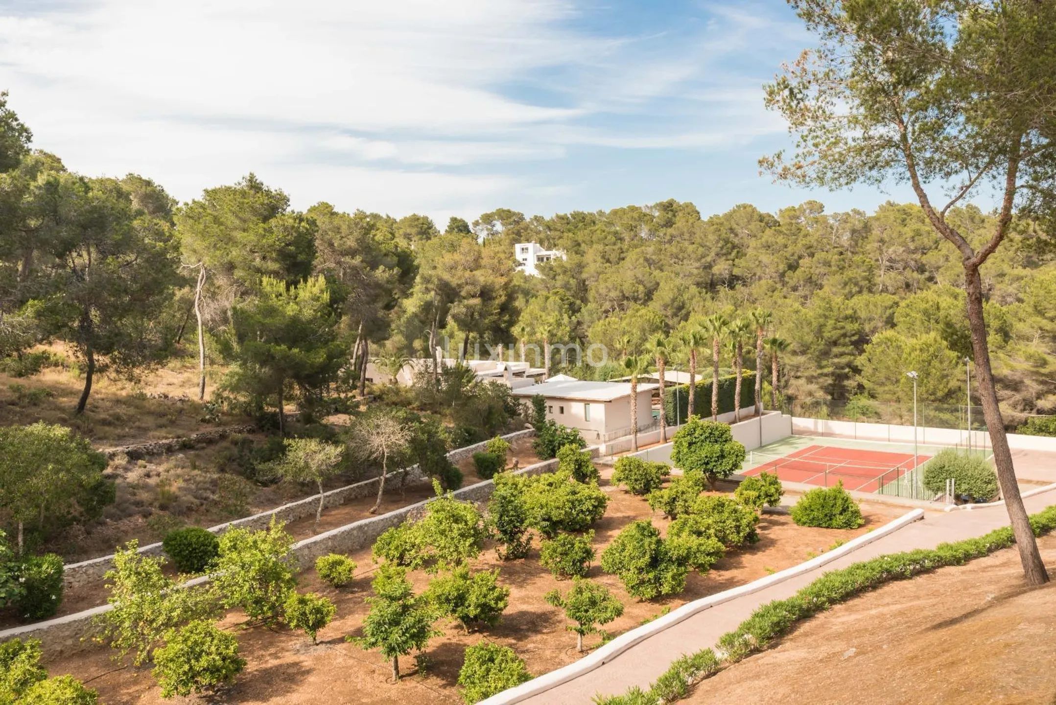 Three Charming Independent Ibiza-Style Villas next to Golf Club, Ibiza for Long-term Rent — photo 64