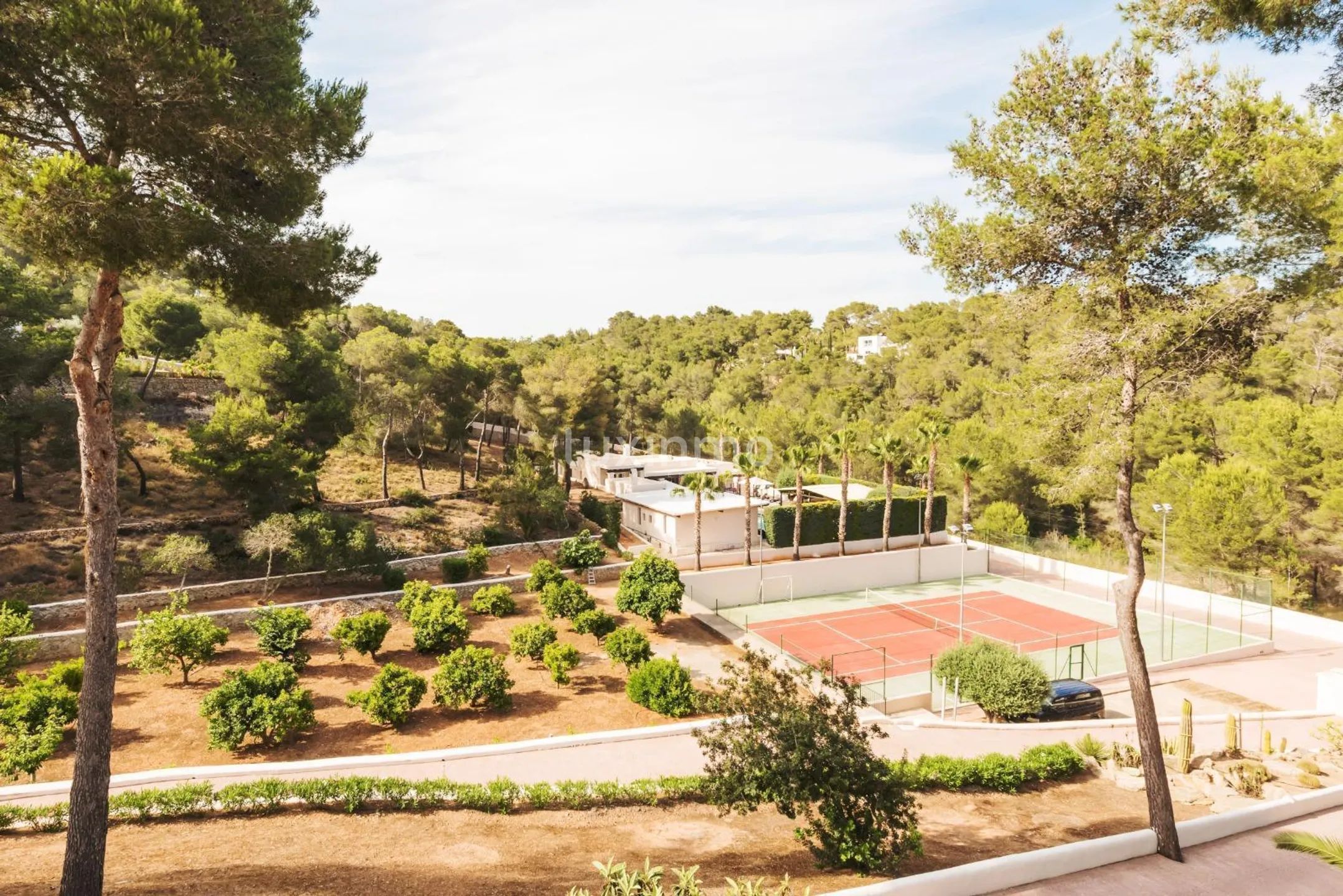 Three Charming Independent Ibiza-Style Villas next to Golf Club, Ibiza for Long-term Rent — photo 84