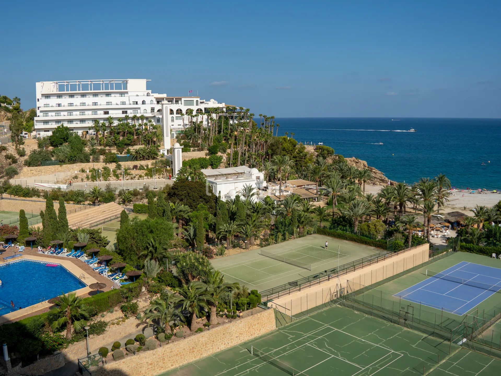 Cozy apartment on first line on the beach for rent — photo 17