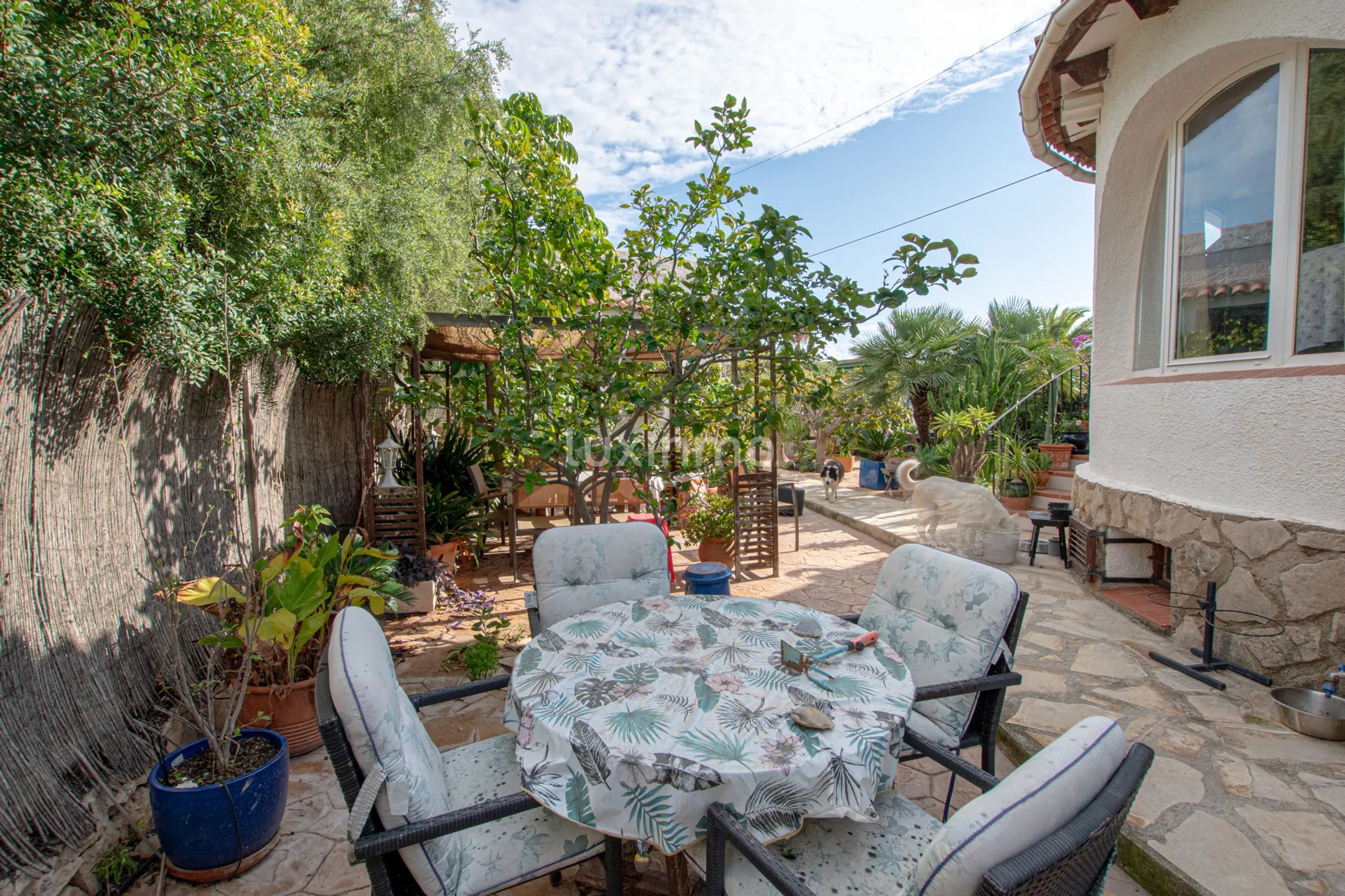 Villa a 5 minutos a pie de la playa de Puerto Blanco — photo 17