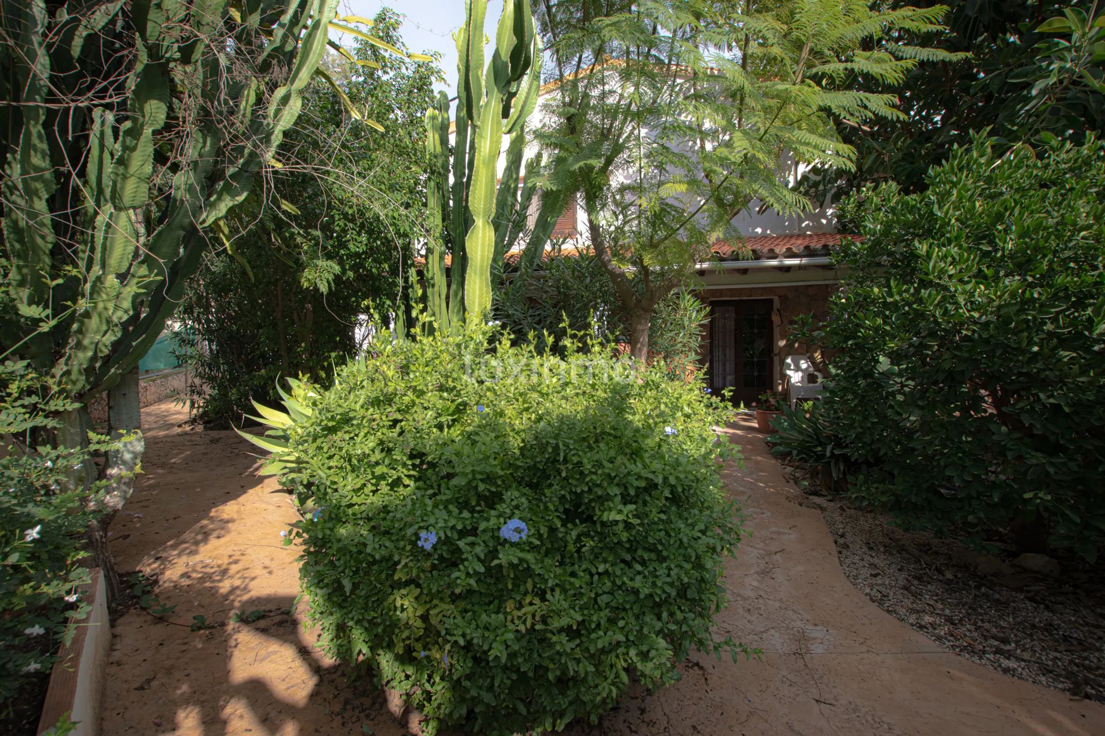 Villa a 5 minutos a pie de la playa de Puerto Blanco — photo 14