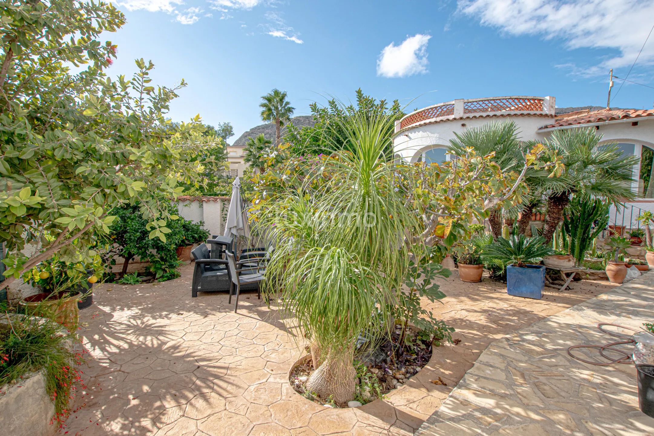 Villa a 5 minutos a pie de la playa de Puerto Blanco — photo 20