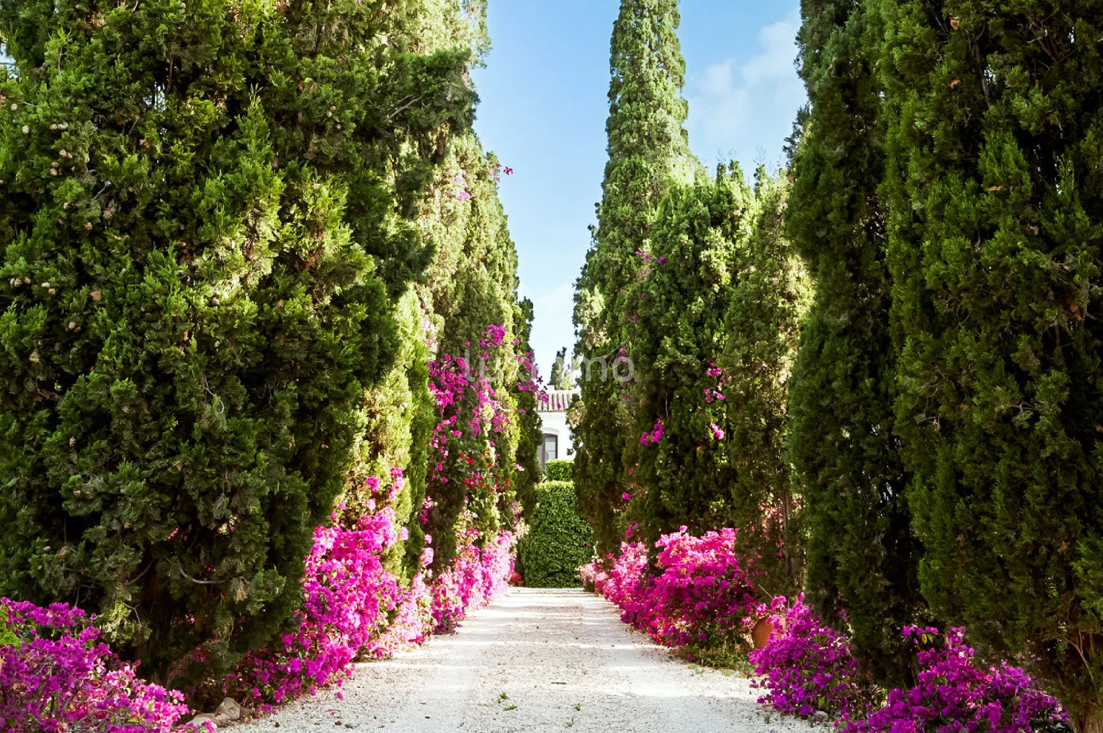 Wolnostojąca willa z działką w Mutxamell — photo 41