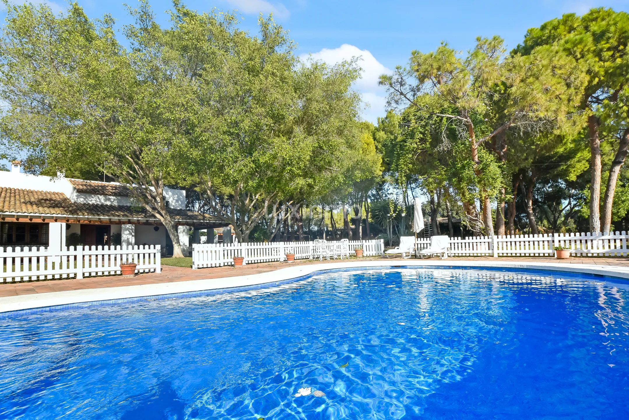 Mediterranean Detached House in Alicante Golf — photo 4