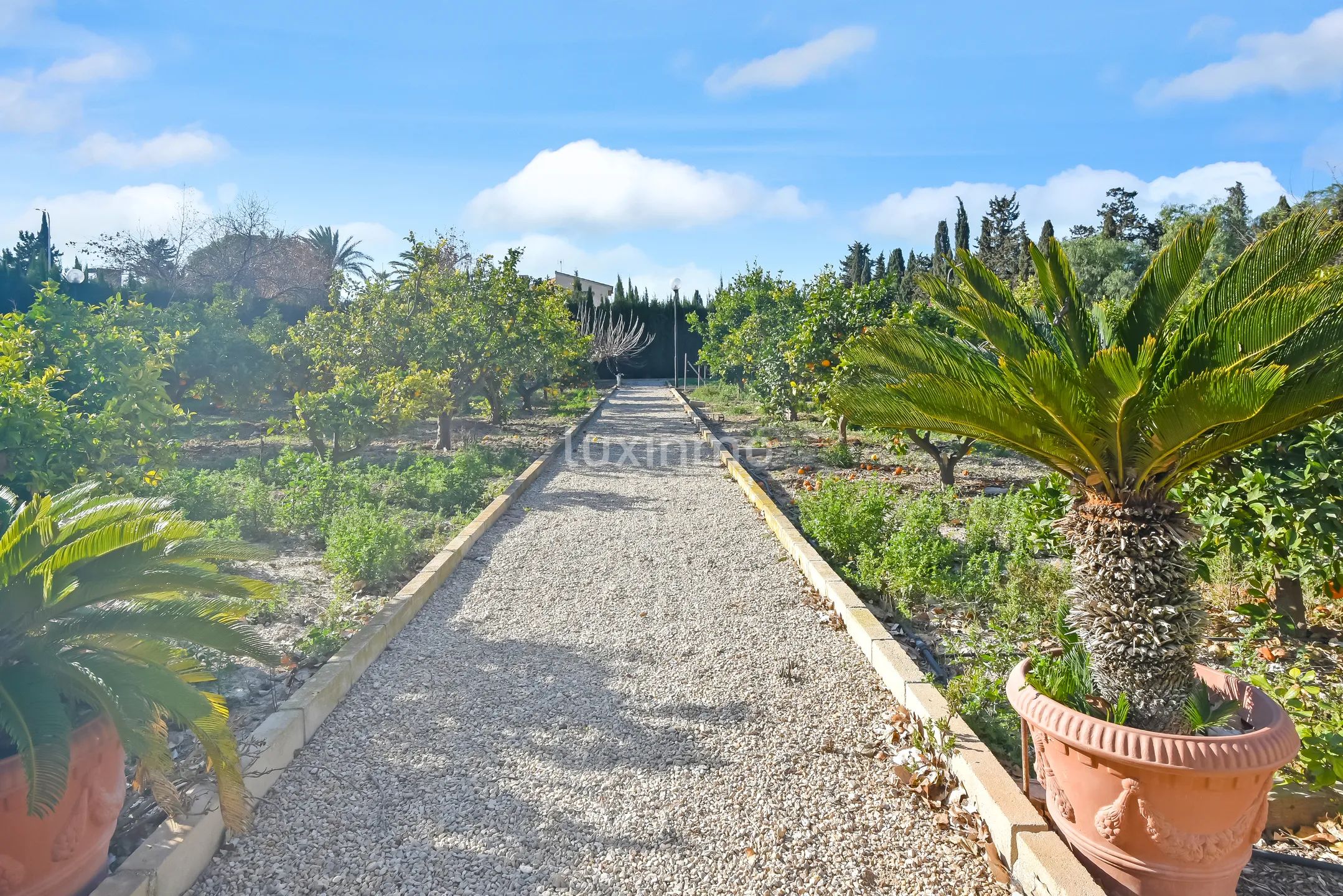 Mediterranean Detached House in Alicante Golf — photo 40