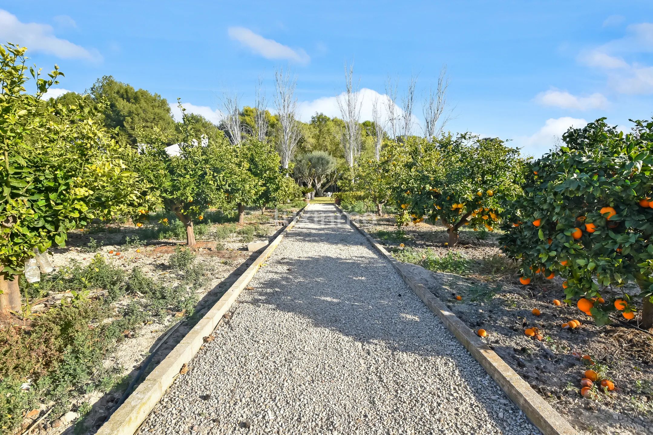 Mediterranean Detached House in Alicante Golf — photo 41