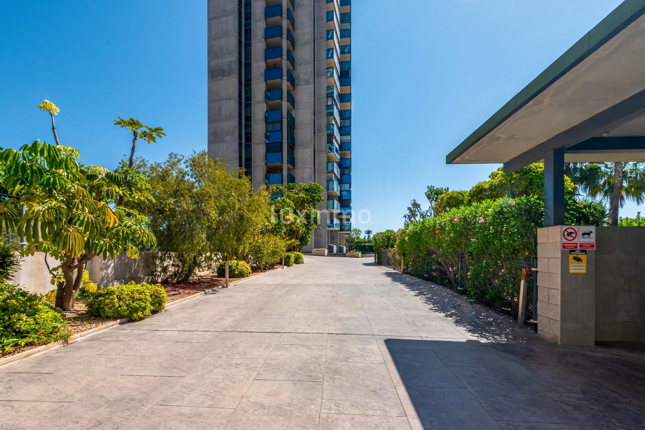 Beautiful penthouse with sea views for rent in Benidorm — photo 32