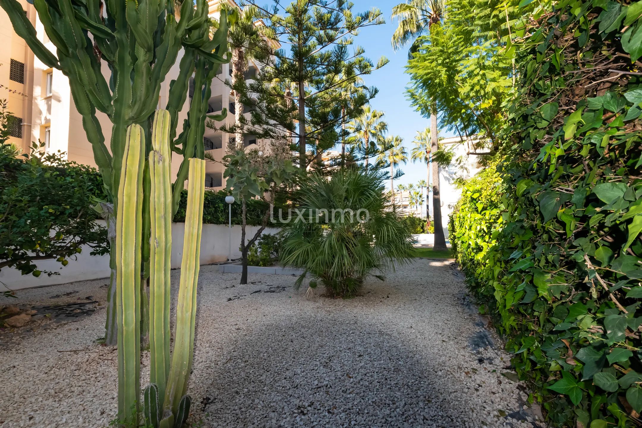 Przytulny apartament na sprzedaż w centrum Albiru — photo 17