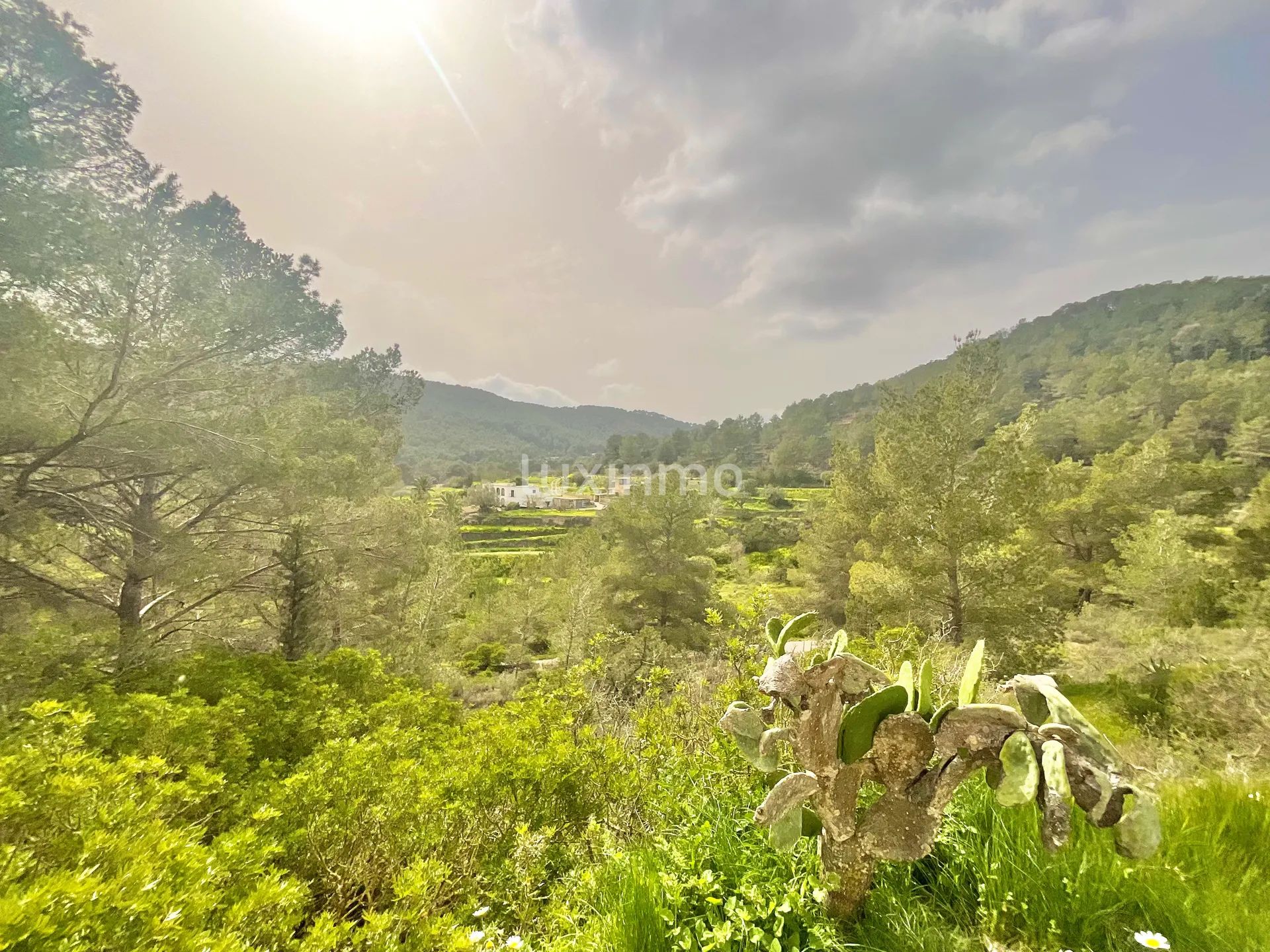 Zwei private ibizenkische Fincas mit Blick auf die Landschaft — photo 15