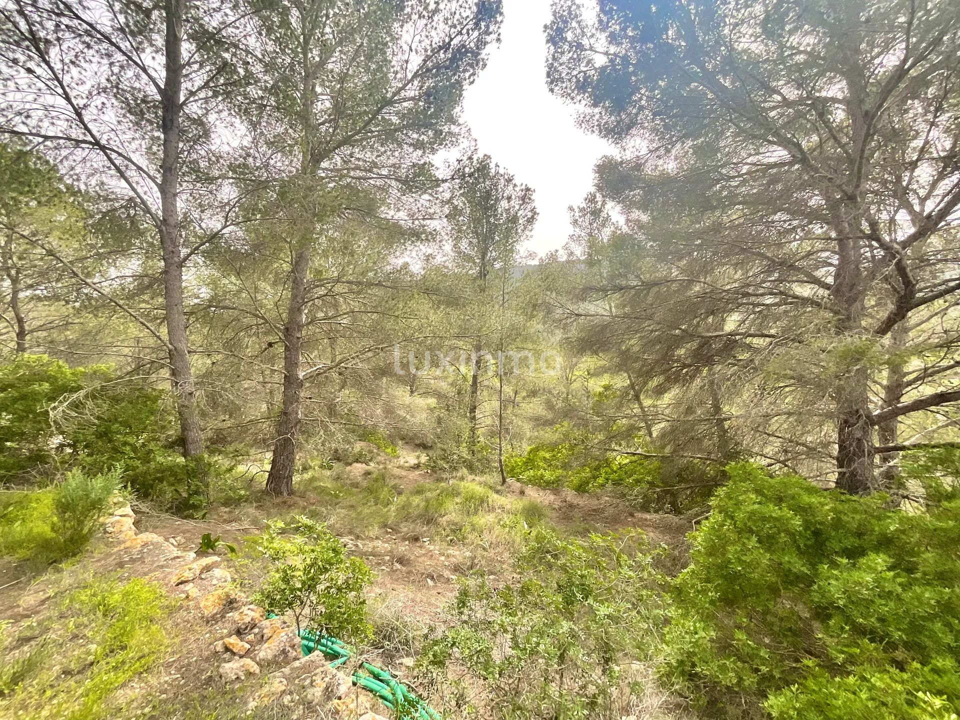 Zwei private ibizenkische Fincas mit Blick auf die Landschaft — photo 18