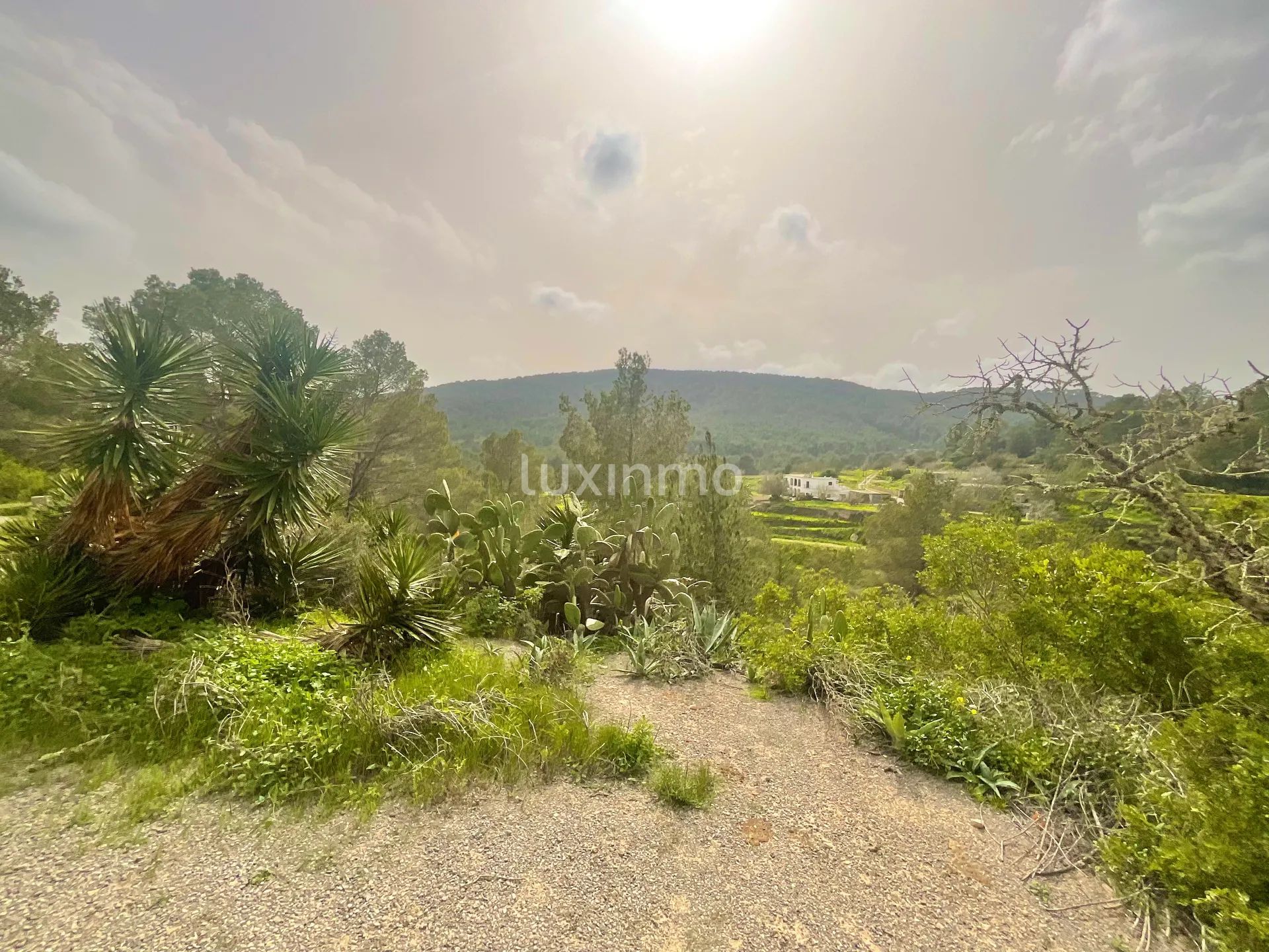 Zwei private ibizenkische Fincas mit Blick auf die Landschaft — photo 9