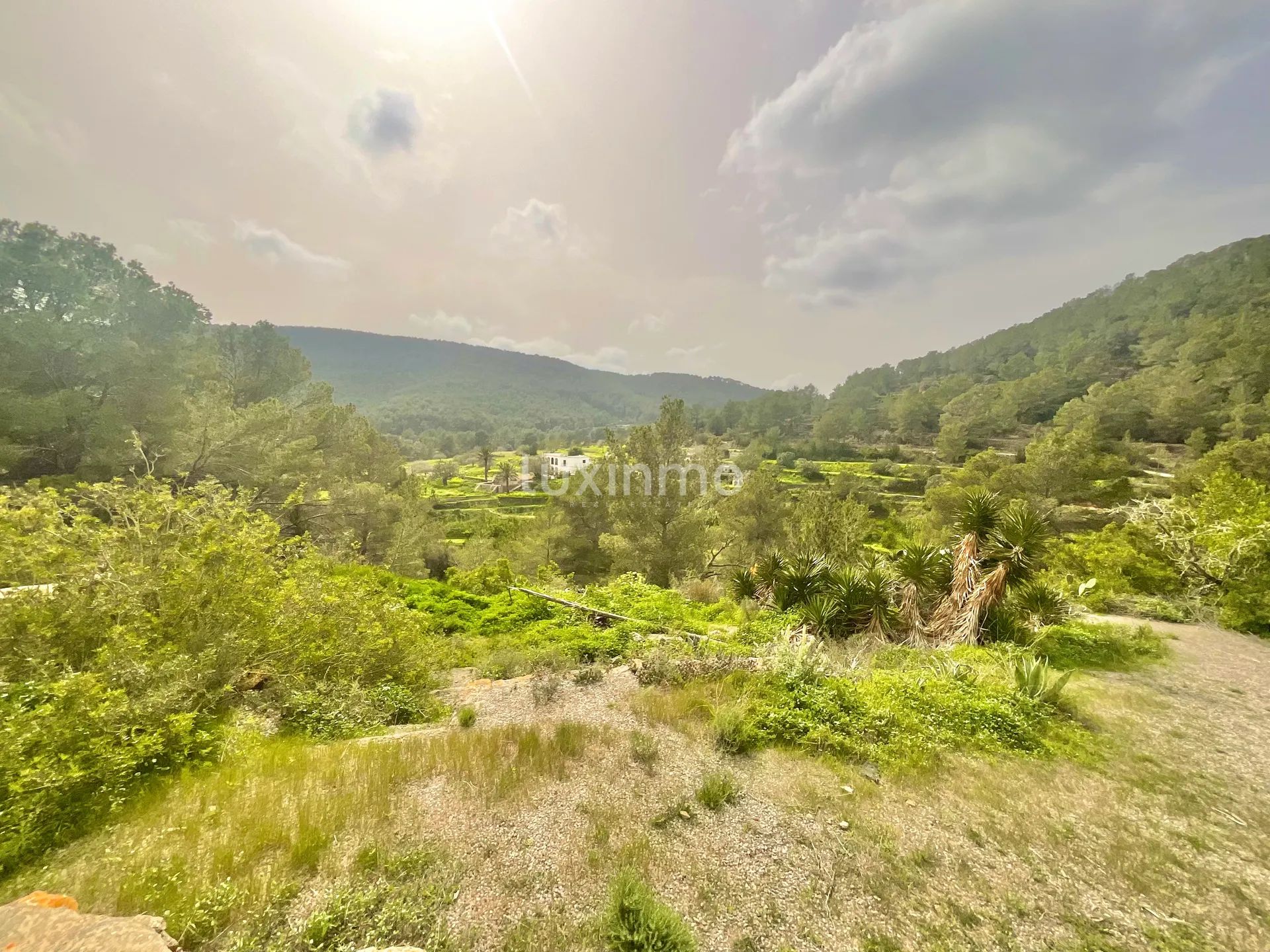 Zwei private ibizenkische Fincas mit Blick auf die Landschaft — photo 19