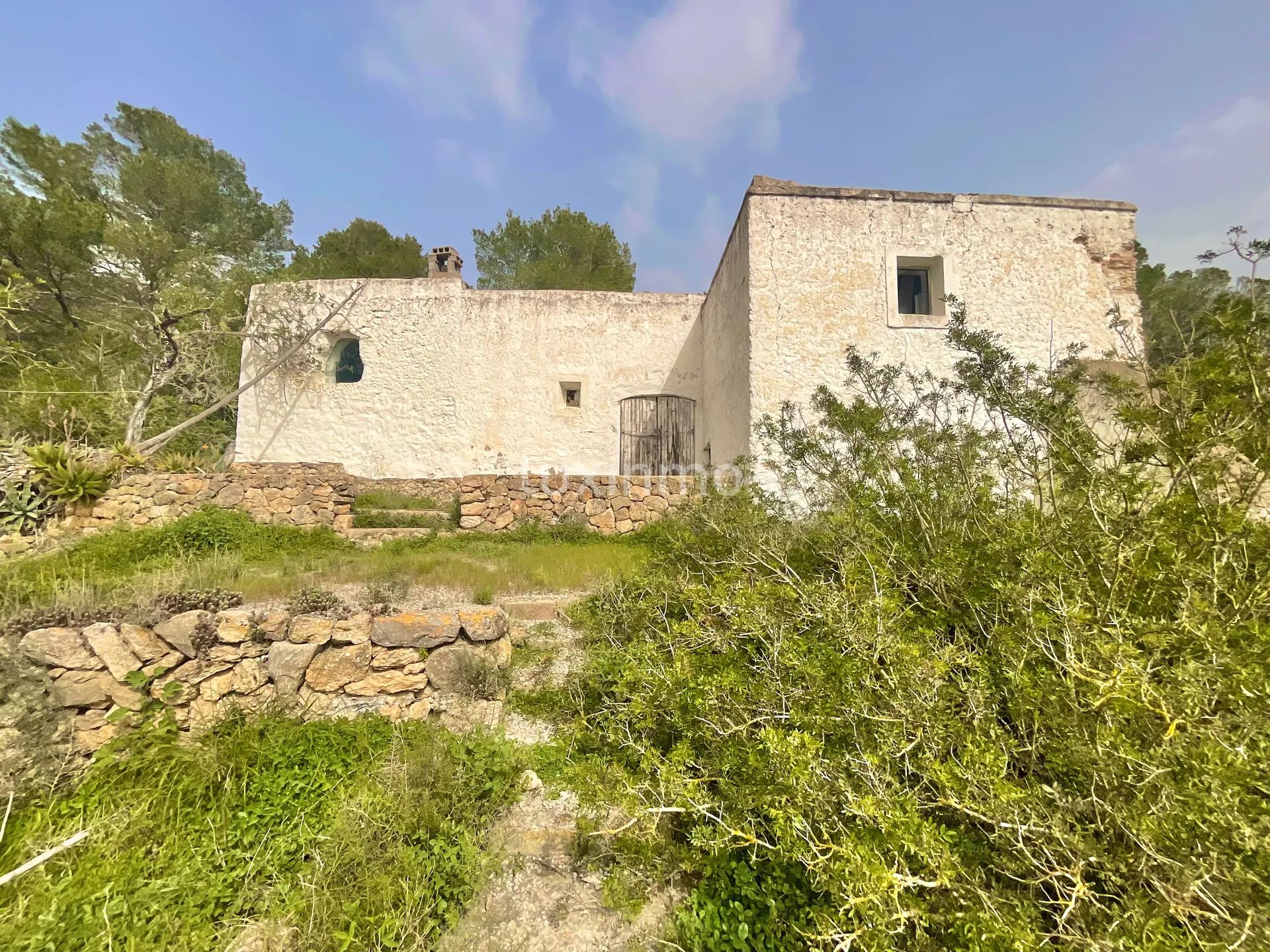 Zwei private ibizenkische Fincas mit Blick auf die Landschaft — photo 10