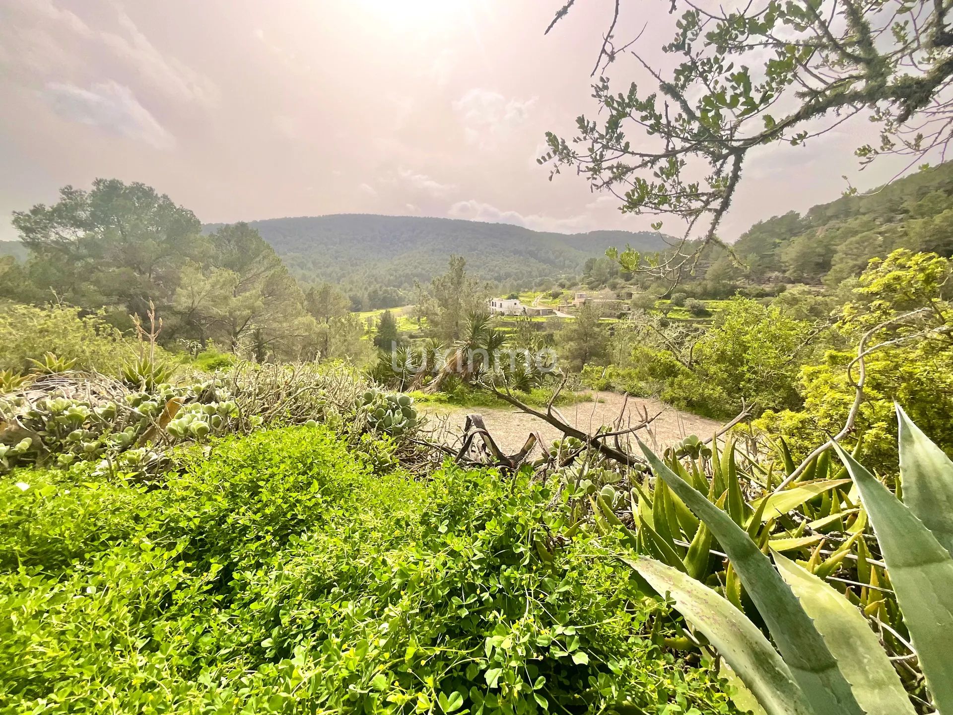 Zwei private ibizenkische Fincas mit Blick auf die Landschaft — photo 20
