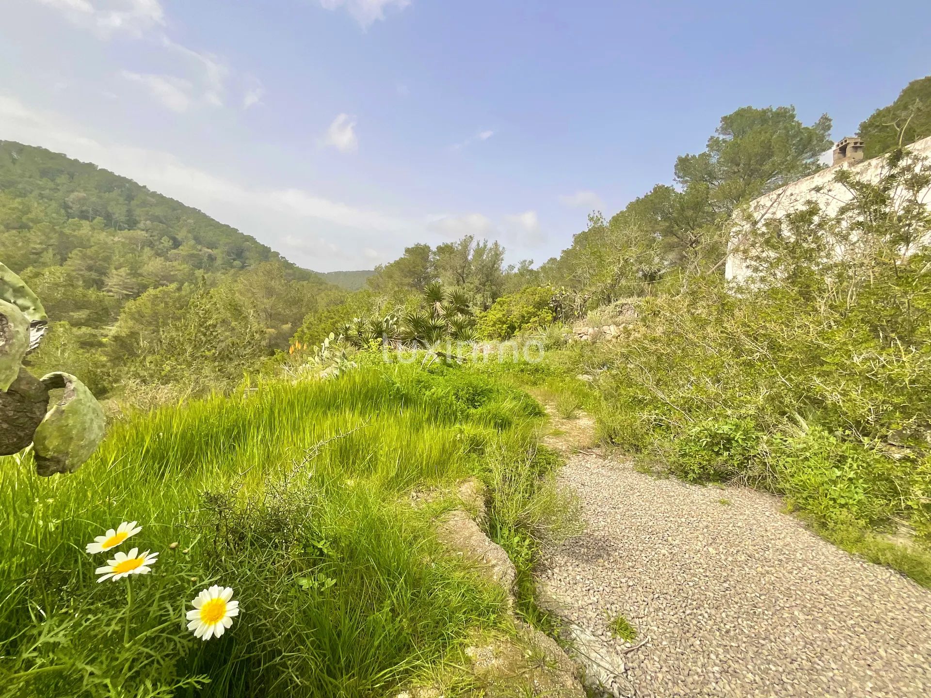 Zwei private ibizenkische Fincas mit Blick auf die Landschaft — photo 17