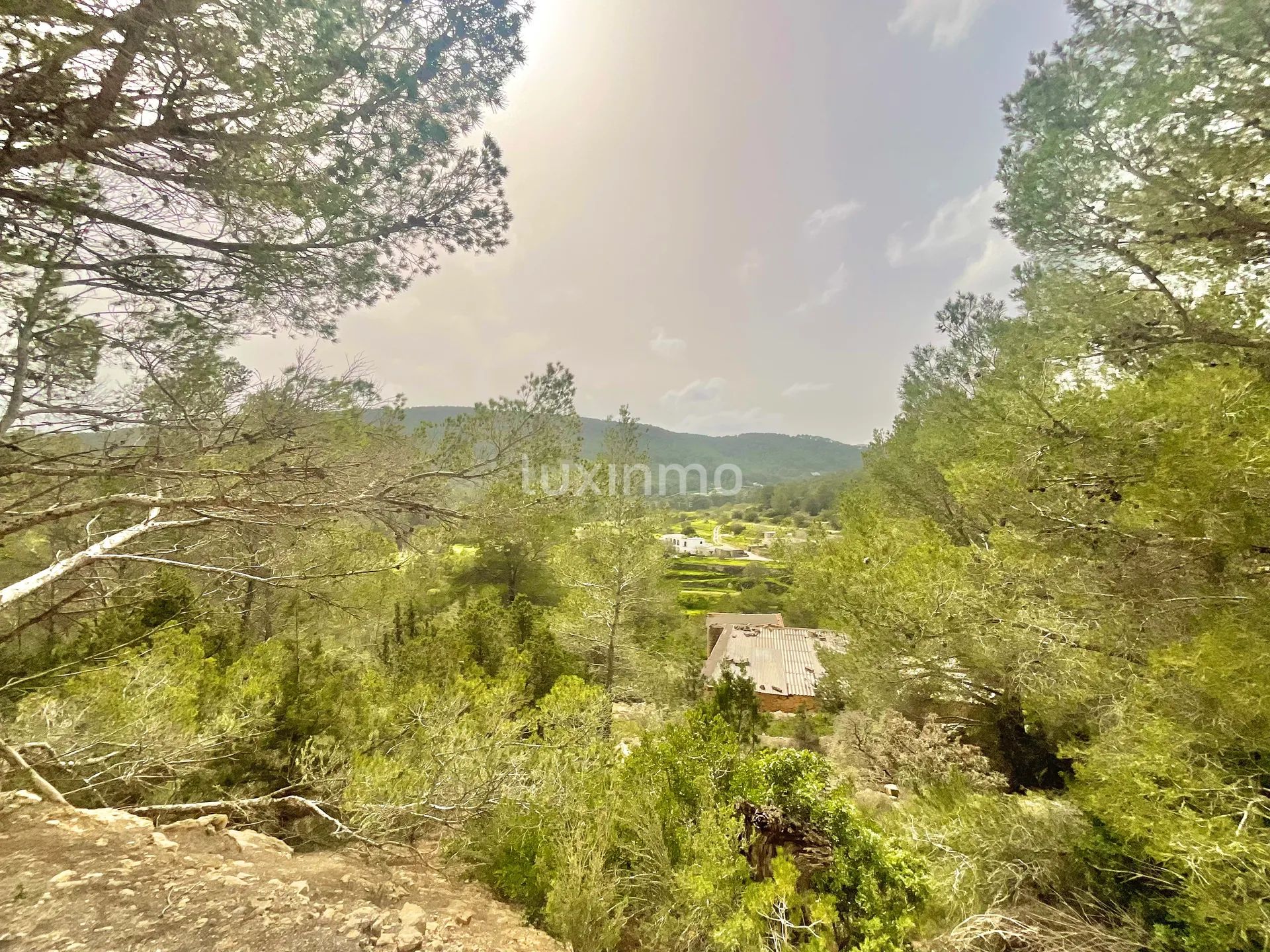 Zwei private ibizenkische Fincas mit Blick auf die Landschaft — photo 8