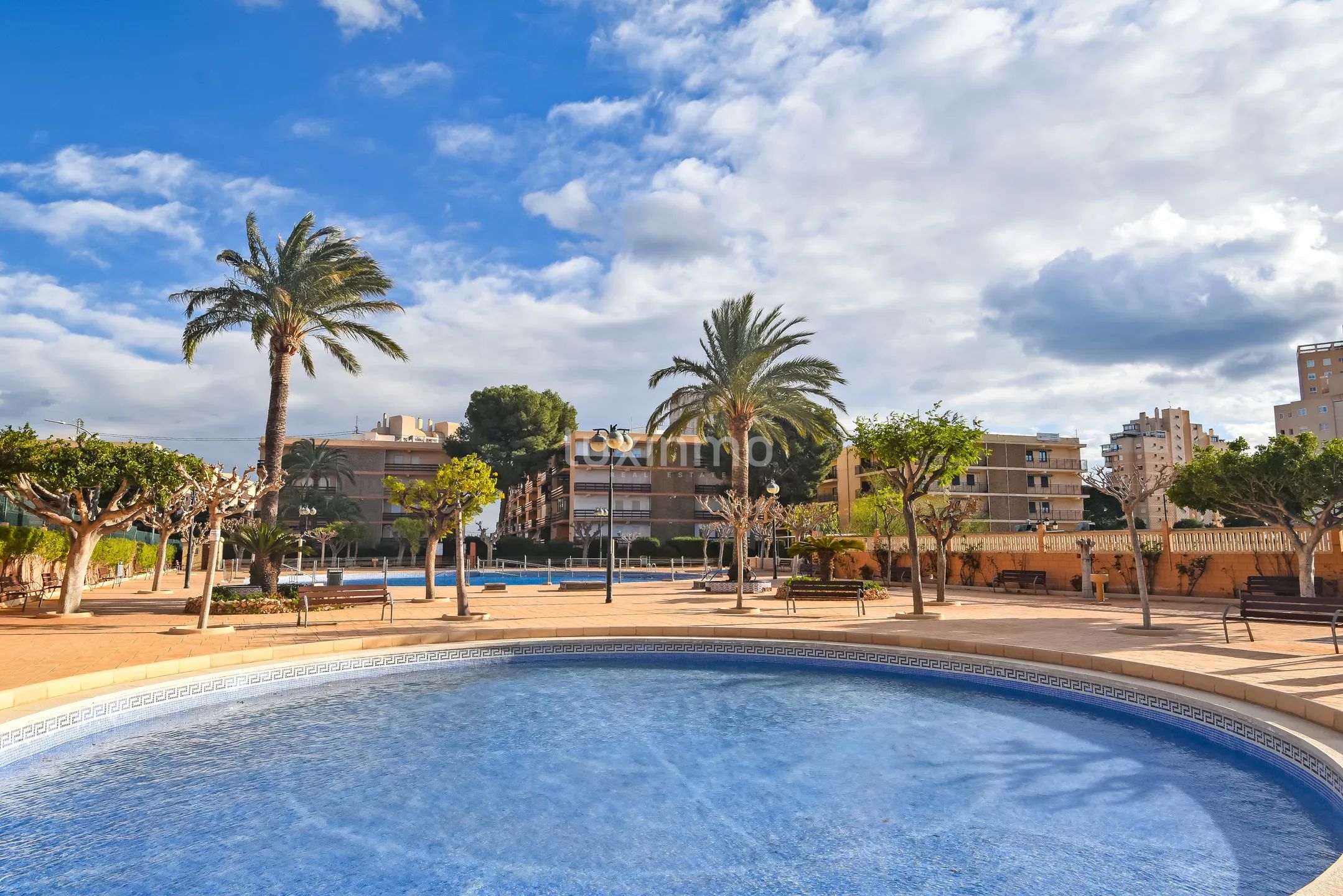 Appartement in Muchavista strand met uitzicht op zee — photo 26