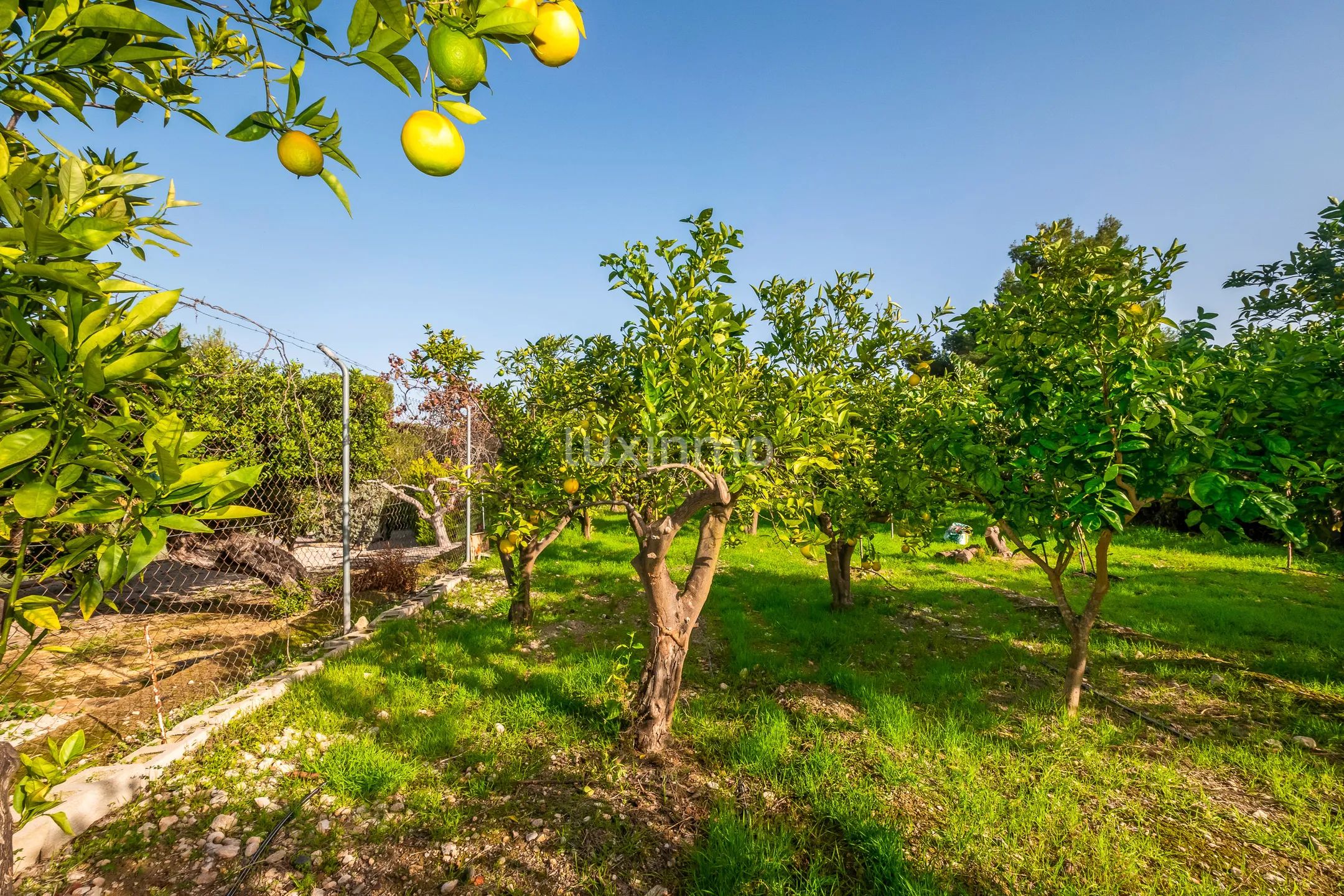 Beautiful mansion with swimming pool for sale in Altea — photo 52