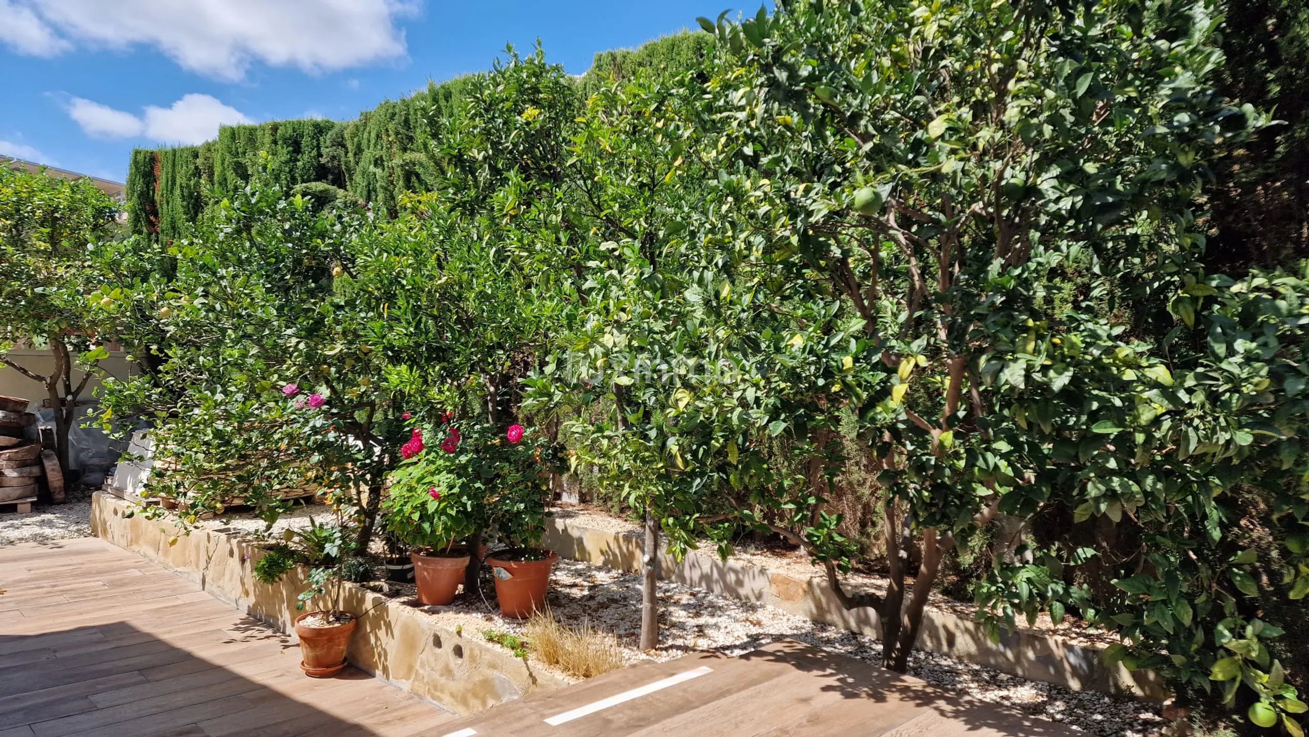 Villa med 4 sovrum och utsikt över havet och bergen i Poble Nou de Benitatxell — photo 20