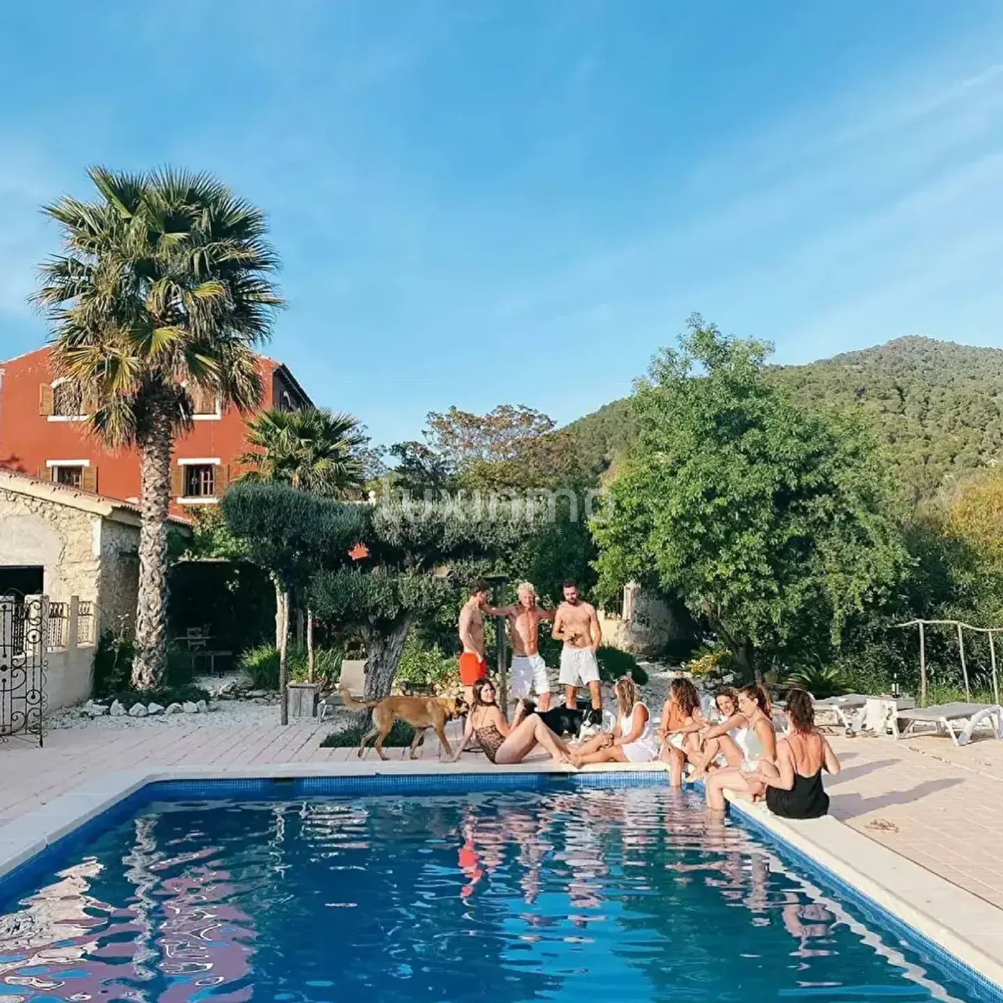 Sjarmerende finca med 6 soverom, privat basseng og gjestehus i Xixona — photo 4