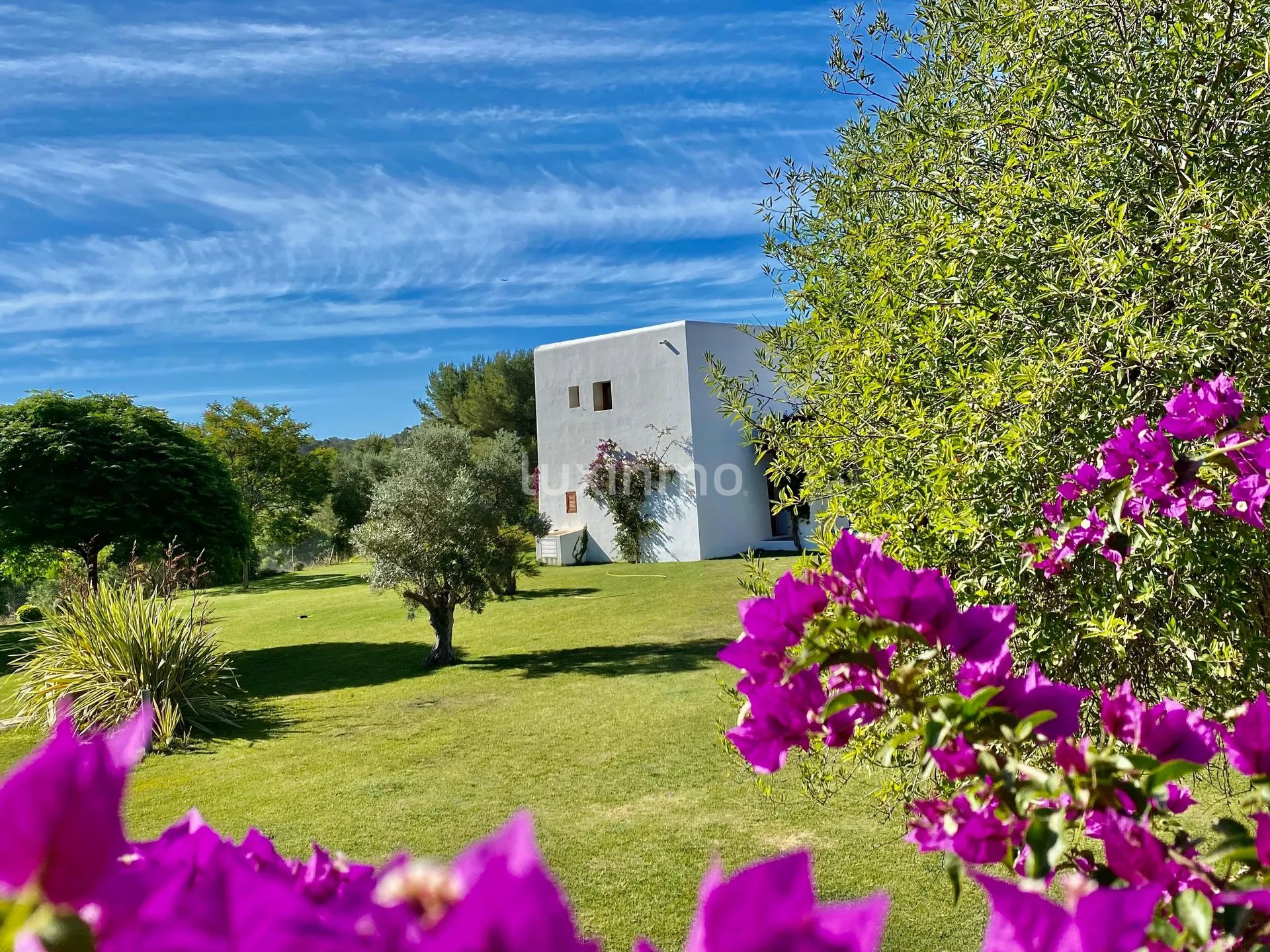 Elegante villa in Ibizastijl met zoutwaterzwembad en uitgestrekt terrein — photo 4