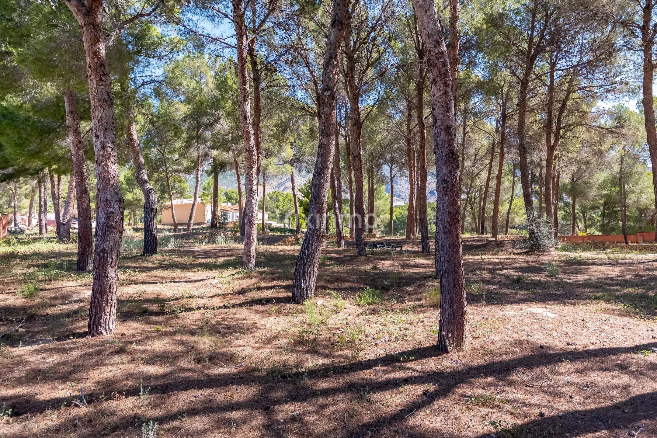 Finca in Altea With 5 Hectares of Natural Environment — photo 33