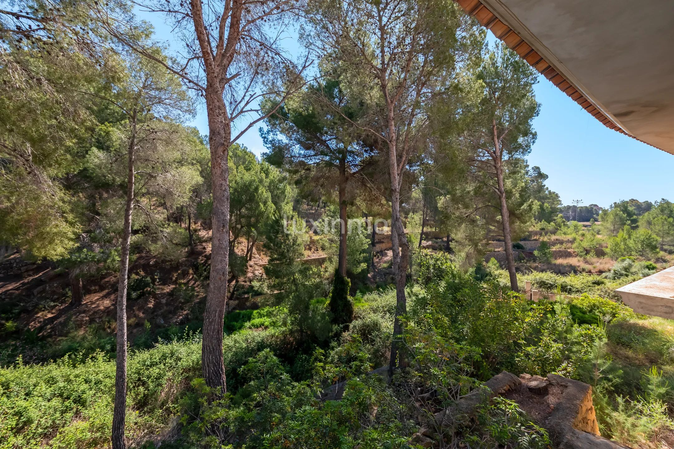 Finca in Altea With 5 Hectares of Natural Environment — photo 27