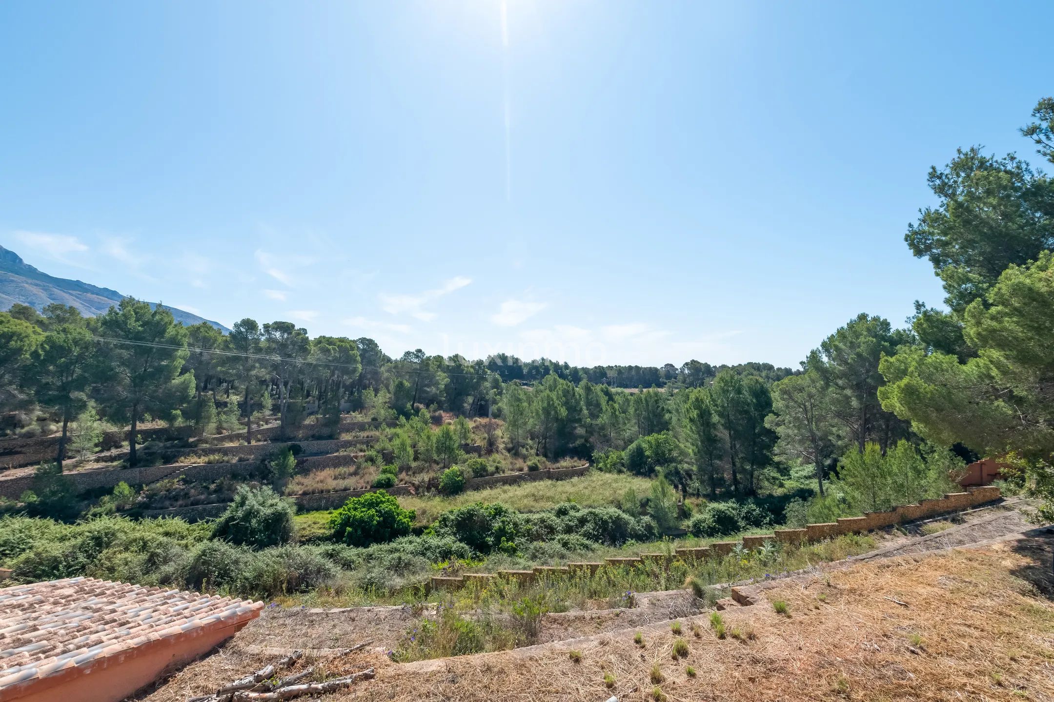 Finca in Altea With 5 Hectares of Natural Environment — photo 4