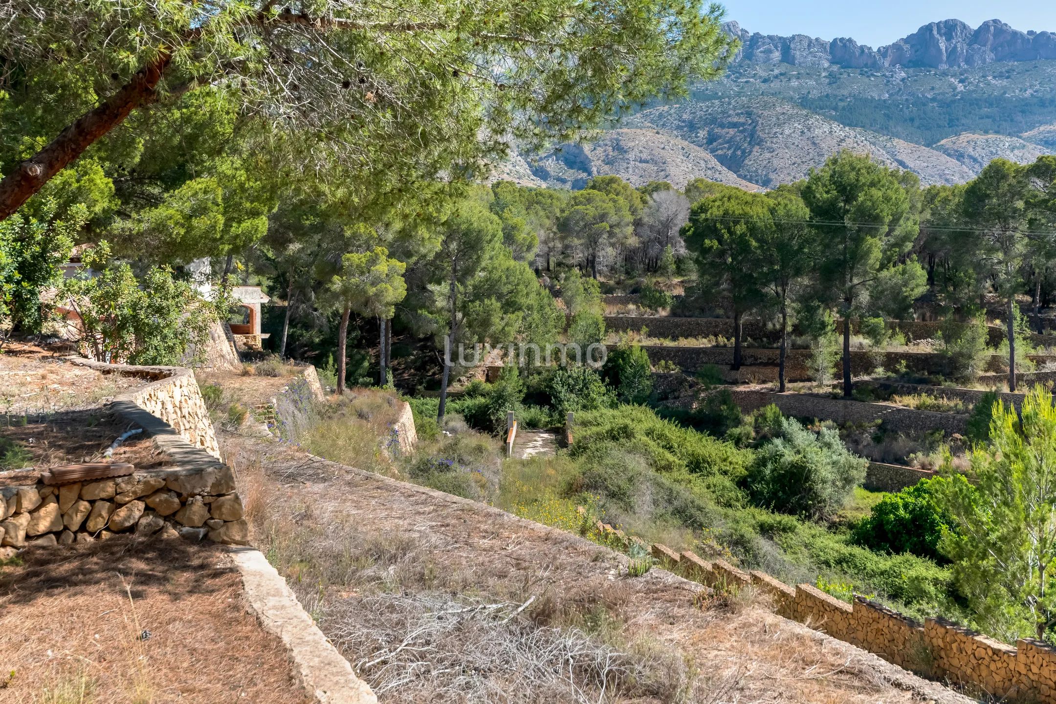 Finca in Altea With 5 Hectares of Natural Environment — photo 34