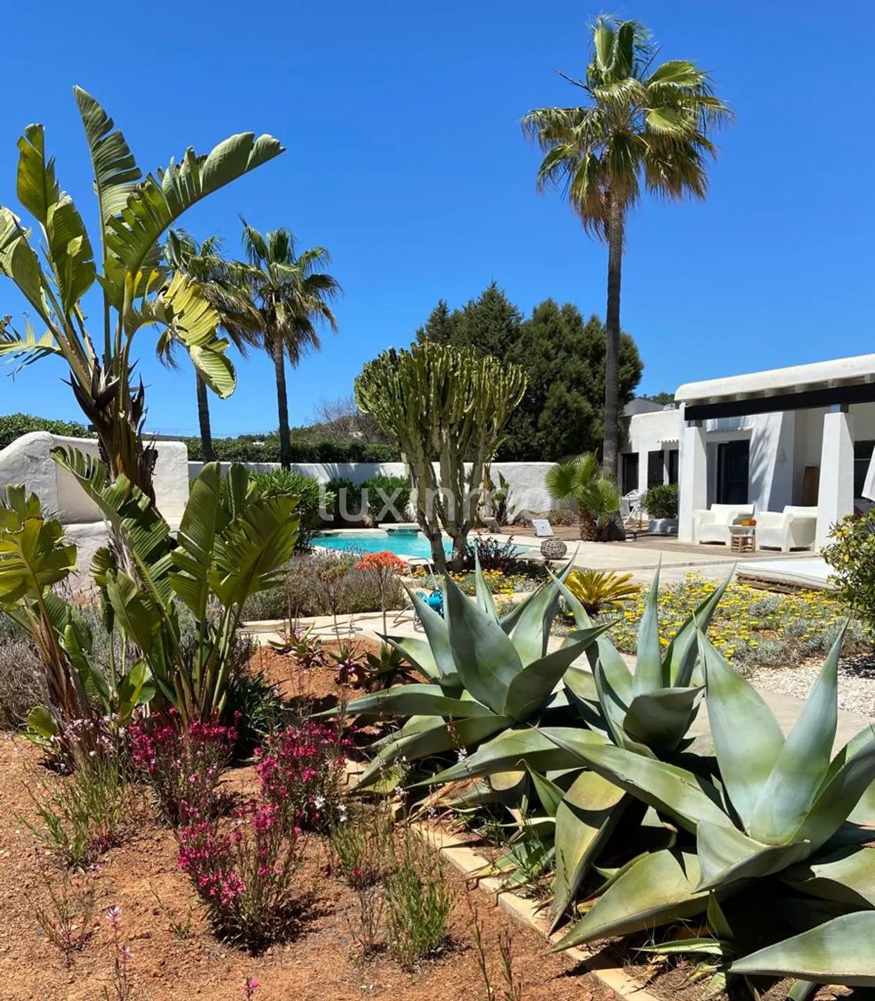 Charmig villa inom gångavstånd från Cala Tarida-stranden — photo 17