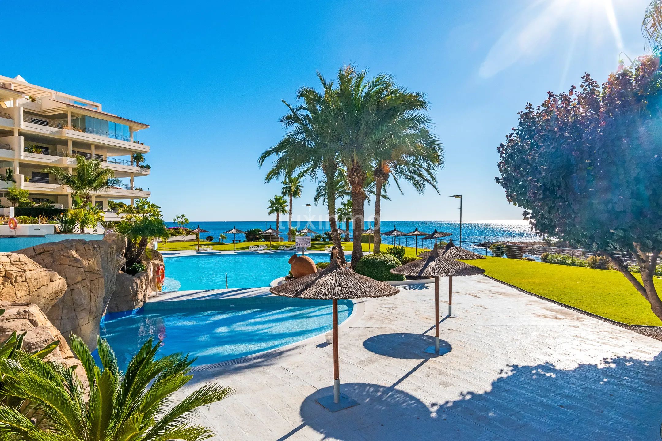 Beautiful flat for rent in front line beach in Mascarat — photo 2