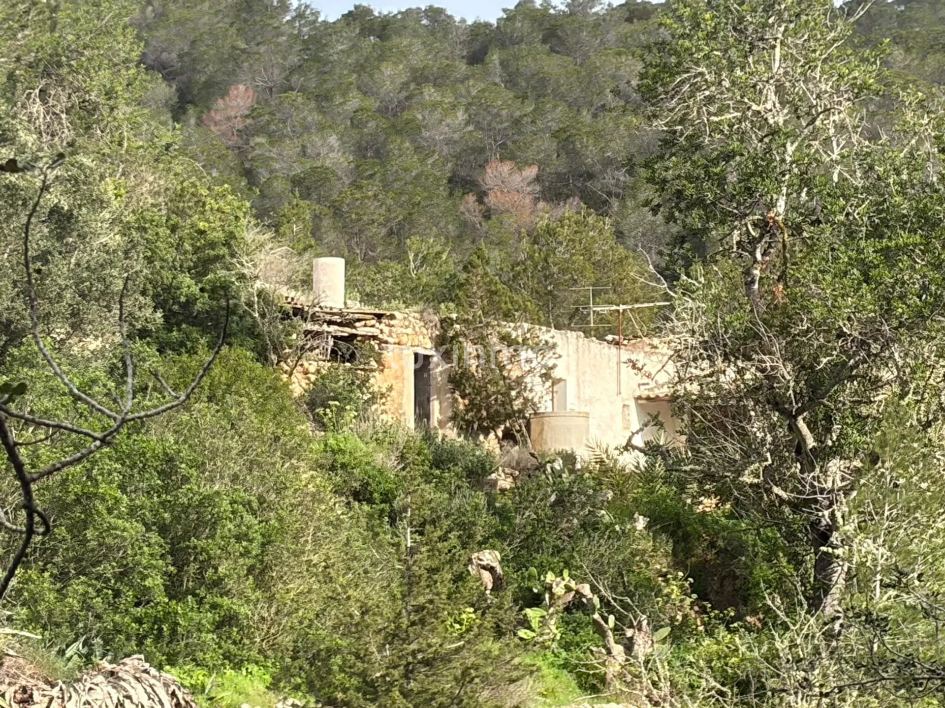 Zabytkowy dom Ibicenco - wyjątkowa okazja inwestycyjna — photo 1