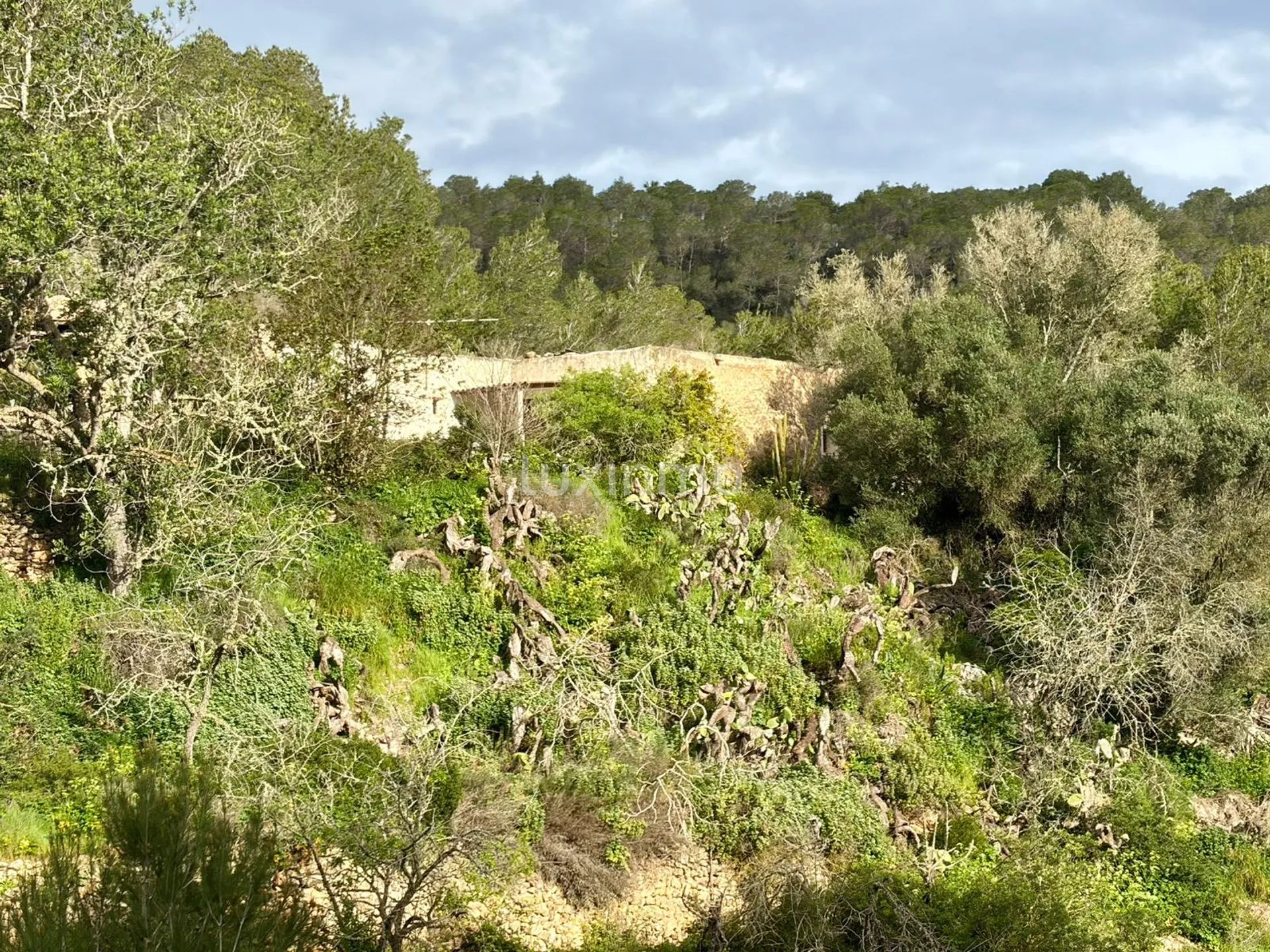 Historic Ibicenco House - Exceptional Investment Opportunity — photo 9