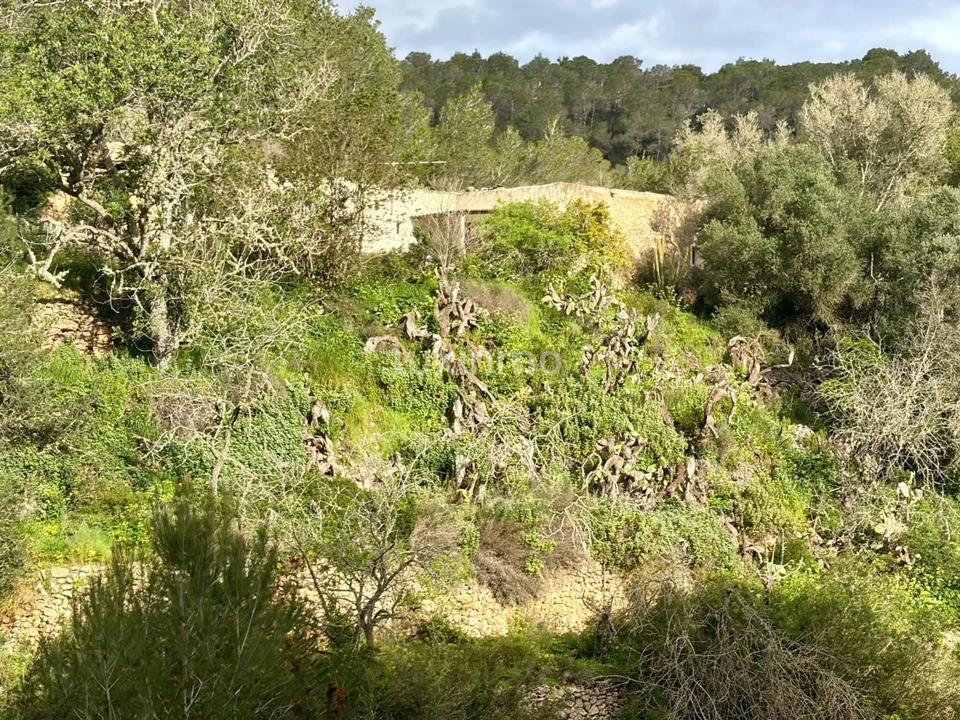 Historic Ibicenco House - Exceptional Investment Opportunity — photo 12