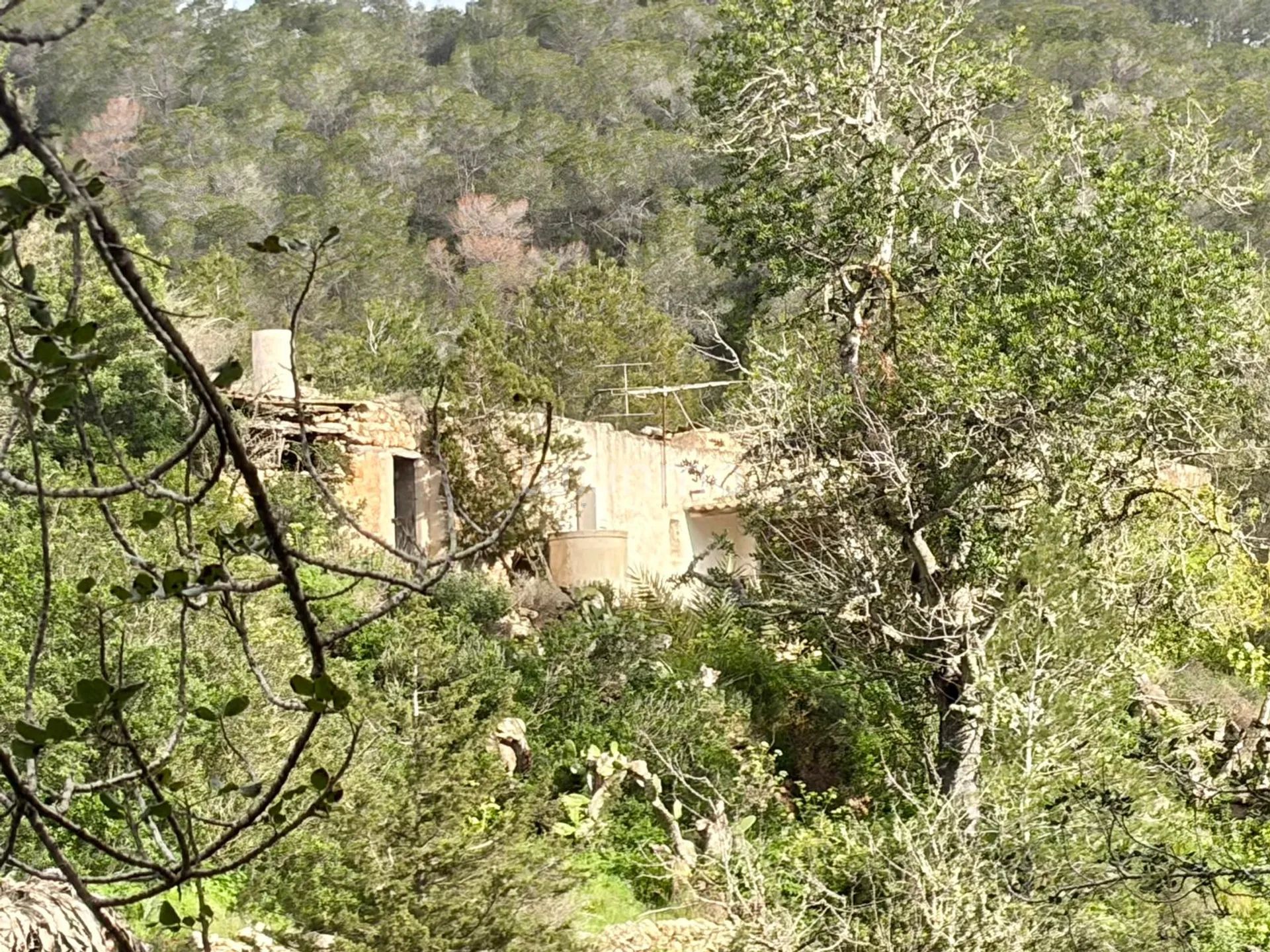 Zabytkowy dom Ibicenco - wyjątkowa okazja inwestycyjna — photo 2