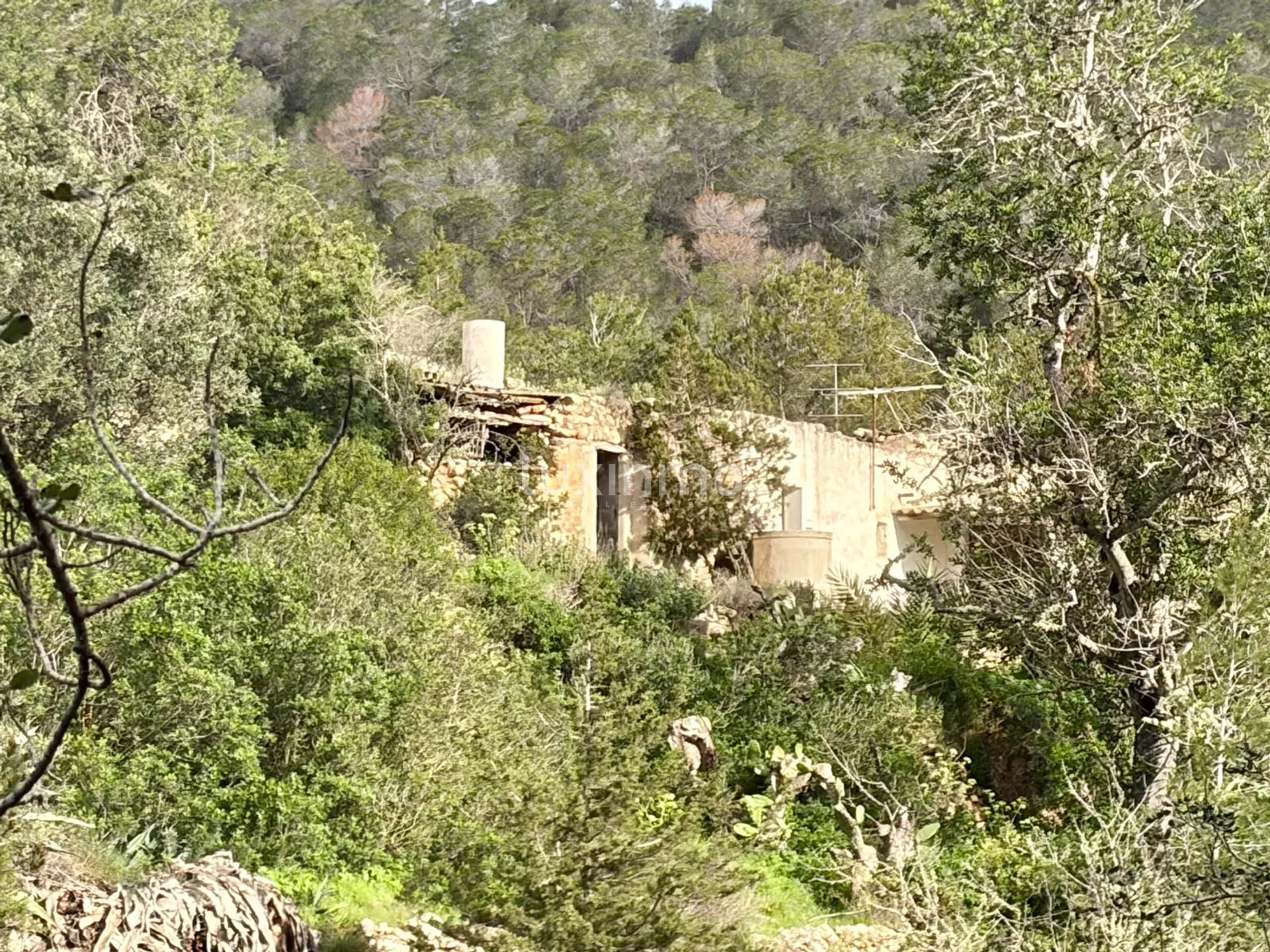 Historic Ibicenco House - Exceptional Investment Opportunity — photo 11