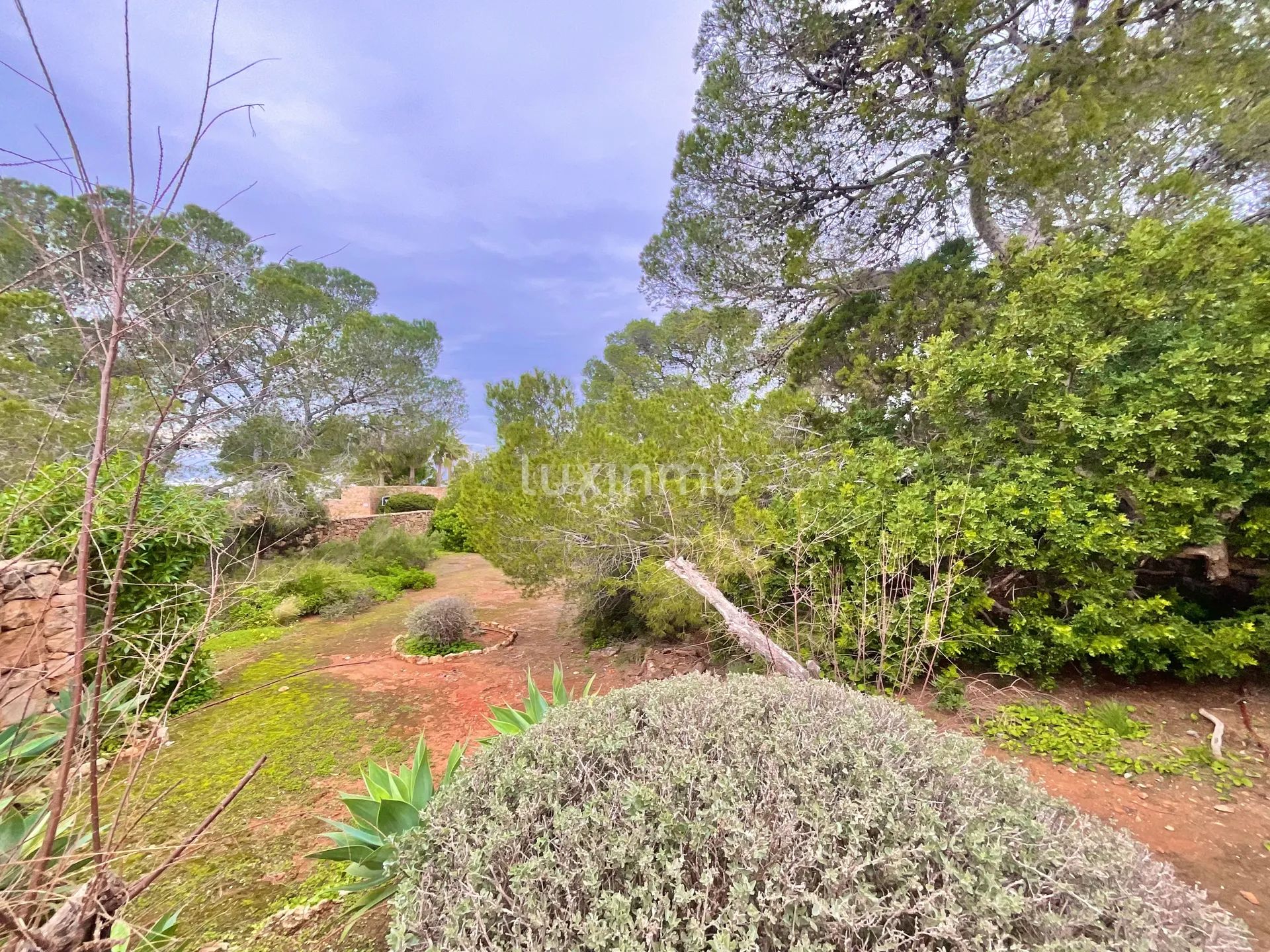 Charming West Coast Ibiza Villa - Walking Distance to the Sea — photo 34