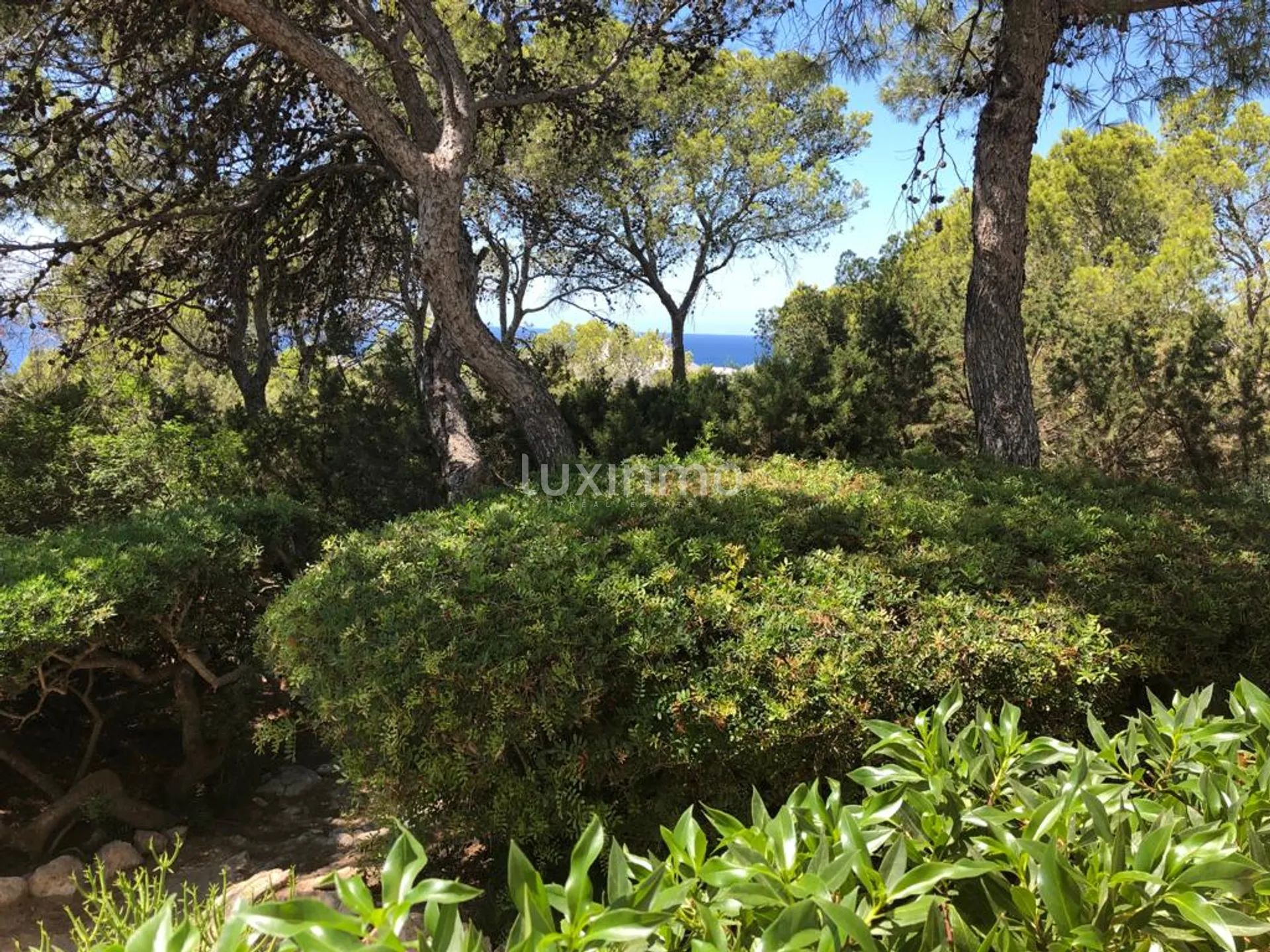 Charming West Coast Ibiza Villa - Walking Distance to the Sea — photo 9