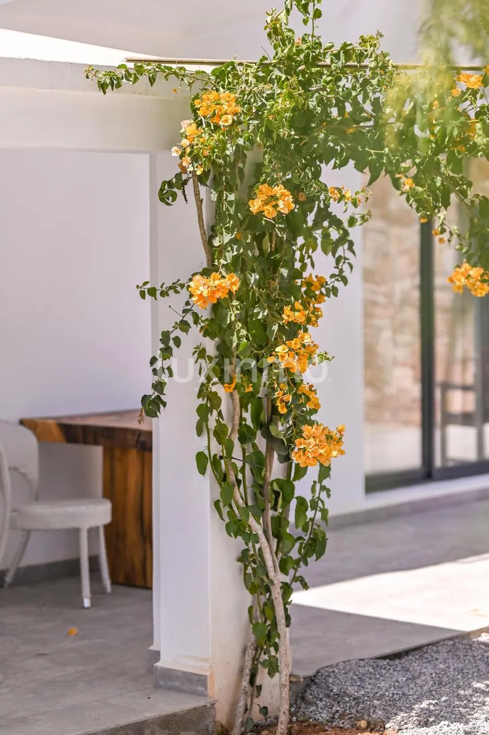 Luxury Long-Term Rental Villa in San José, Ibiza — photo 15