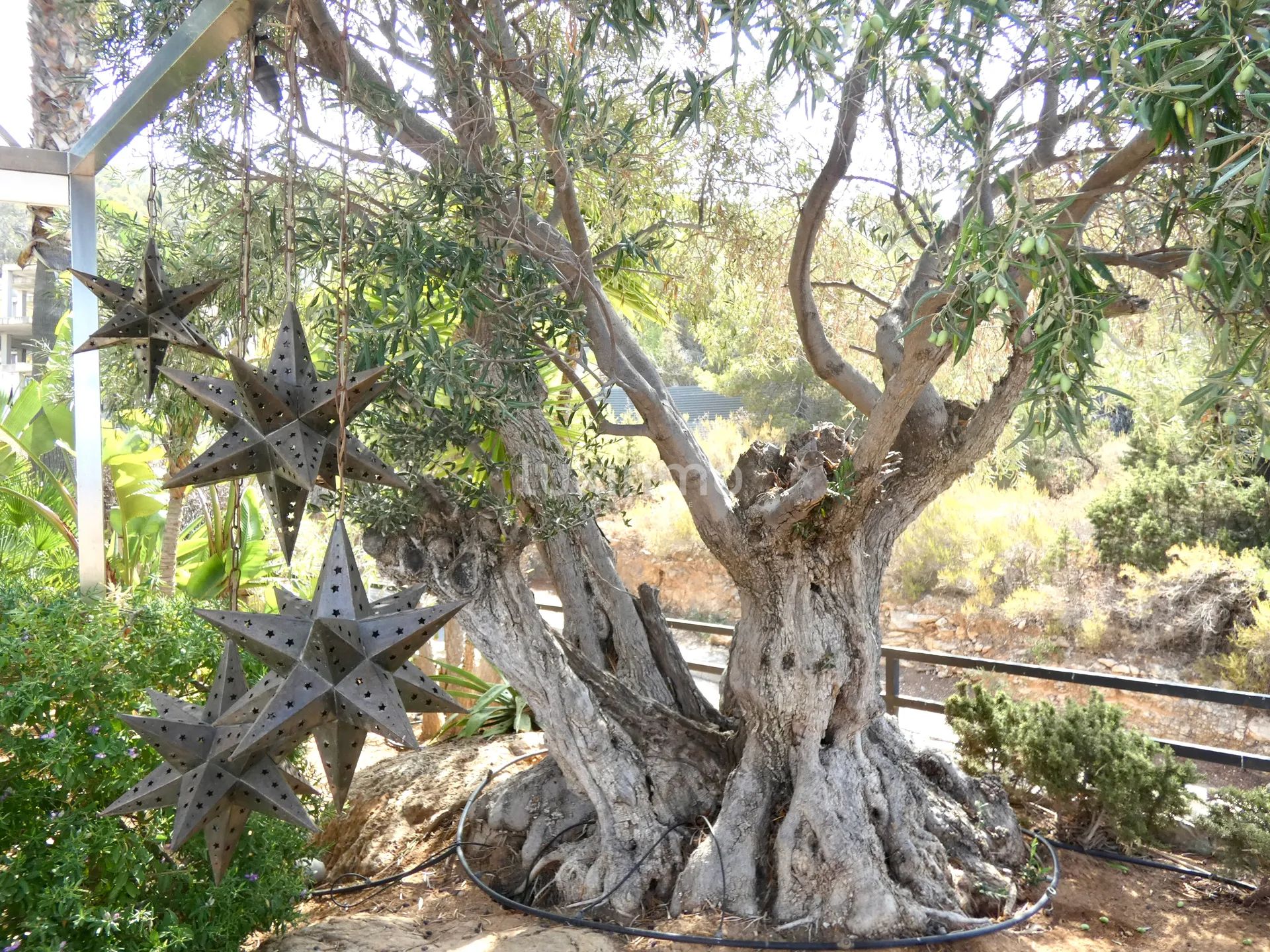 Charming semi-detached house with sea views in Cala Tarida — photo 8