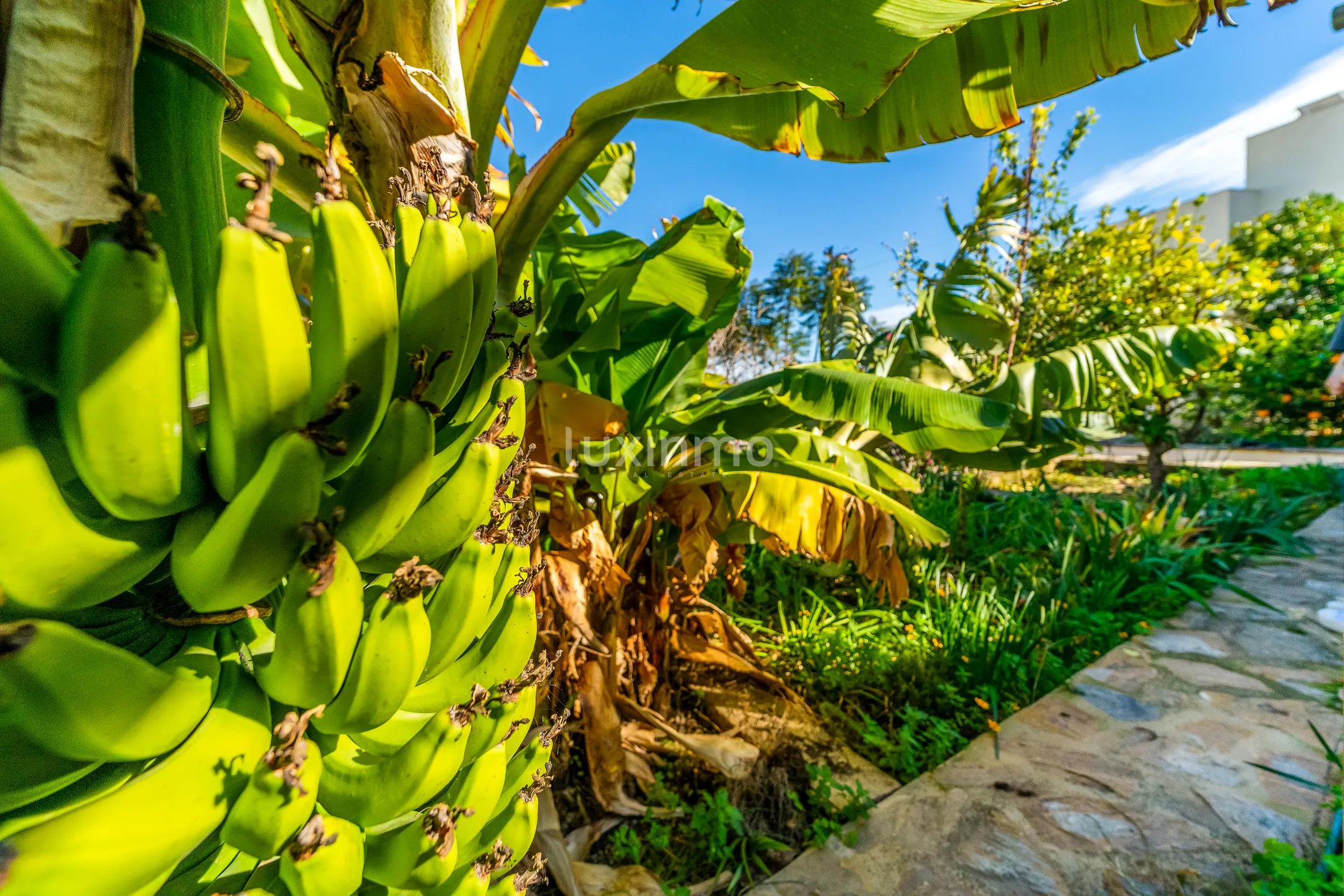 Exclusive luxury villa with panoramic sea views — photo 41