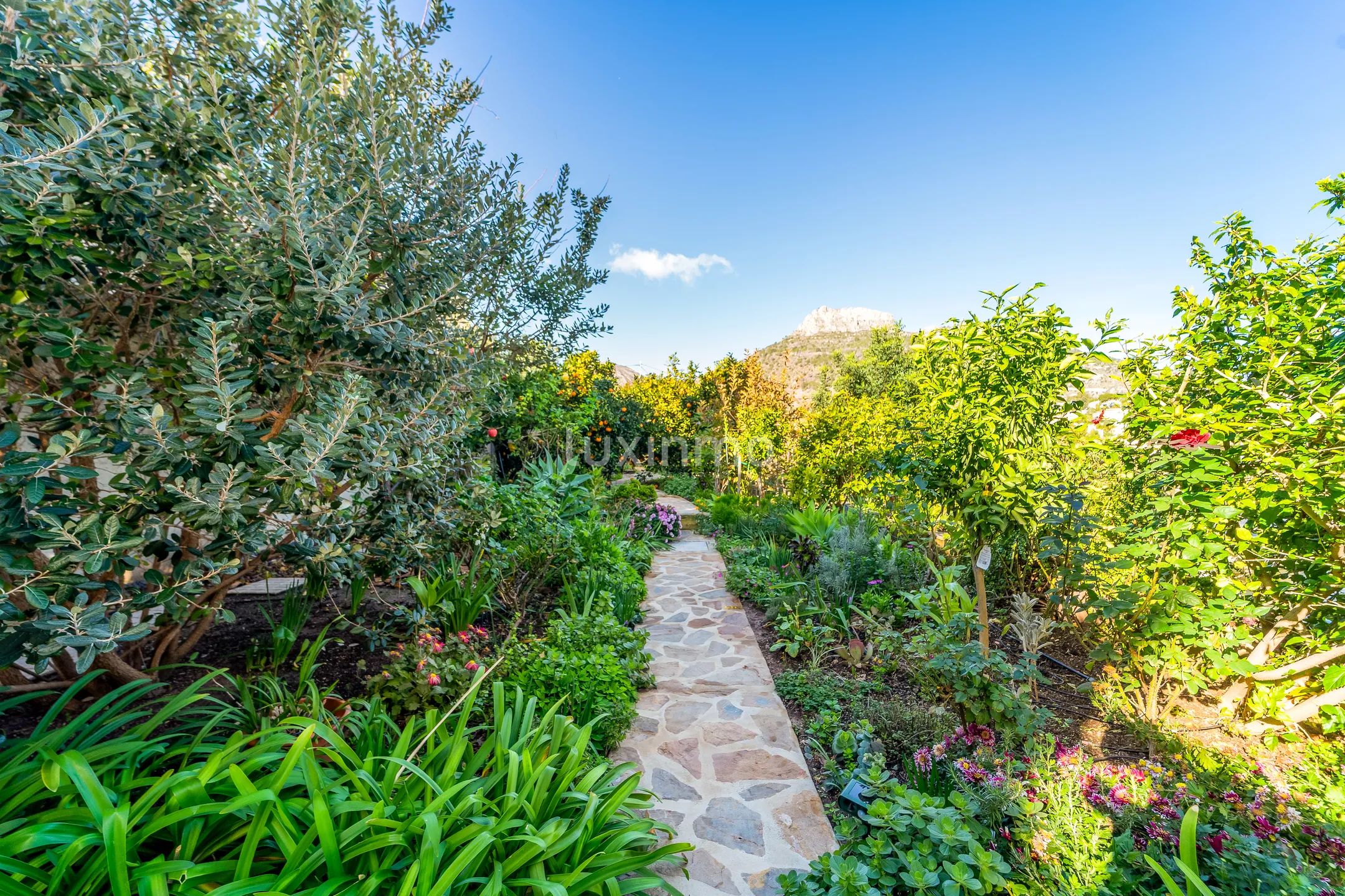 Exclusive luxury villa with panoramic sea views — photo 38