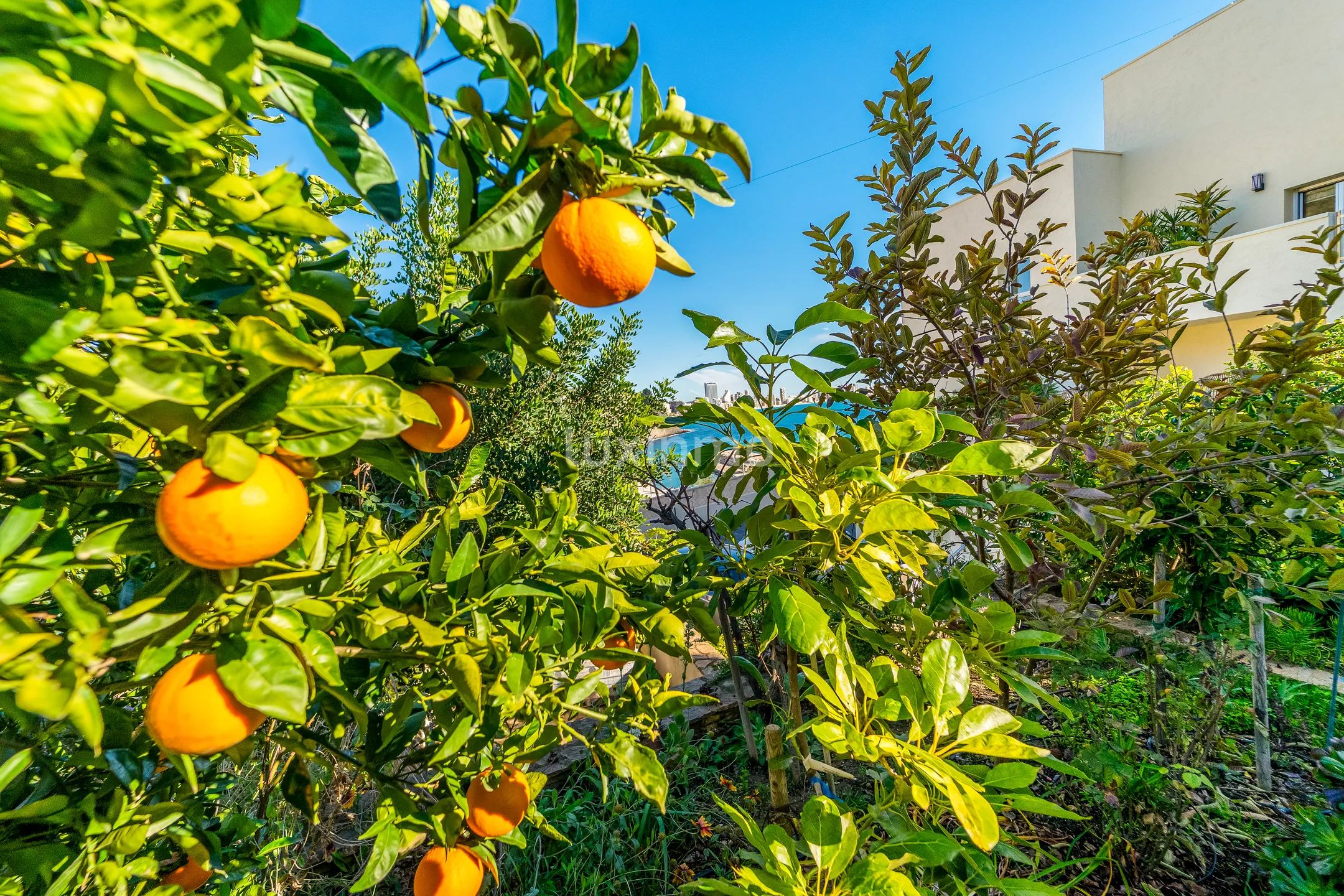 Exclusive luxury villa with panoramic sea views — photo 39