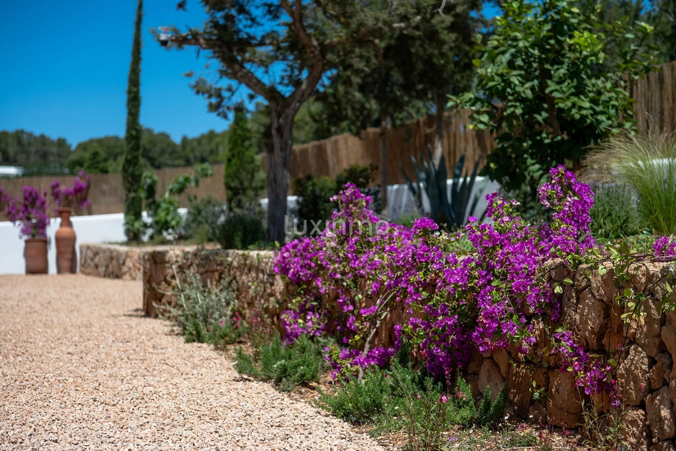 An bicencan retreat where organic design meets island living — photo 30